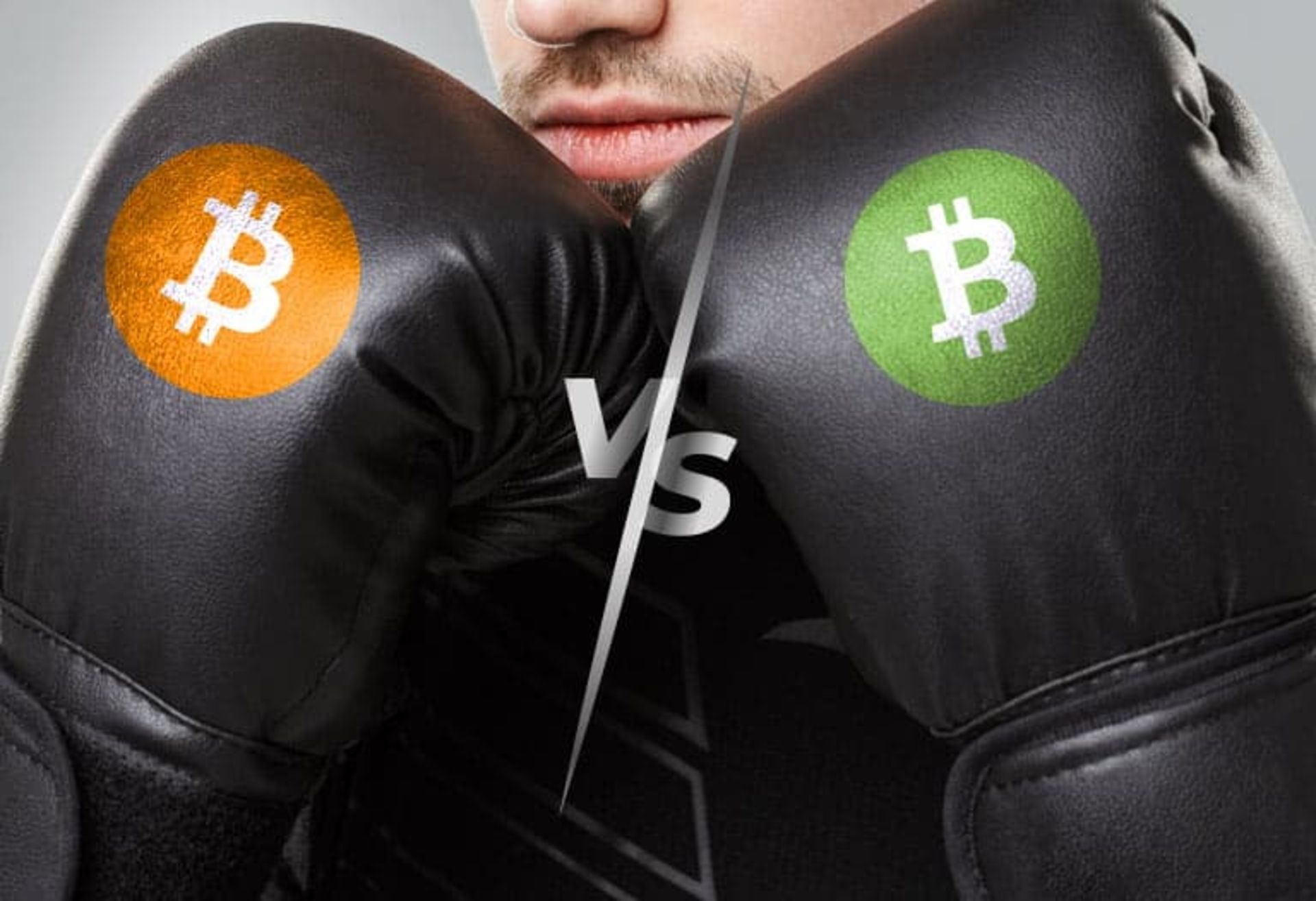 bitcon vs bitcoin cash