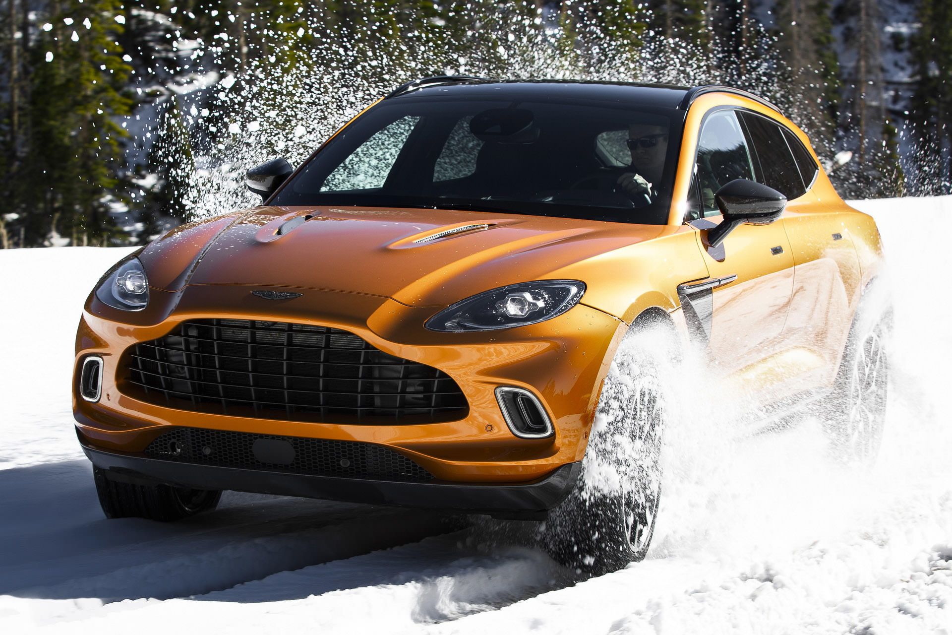 استون مارتین دی بی ایکس / Aston Martin DBX در برف 