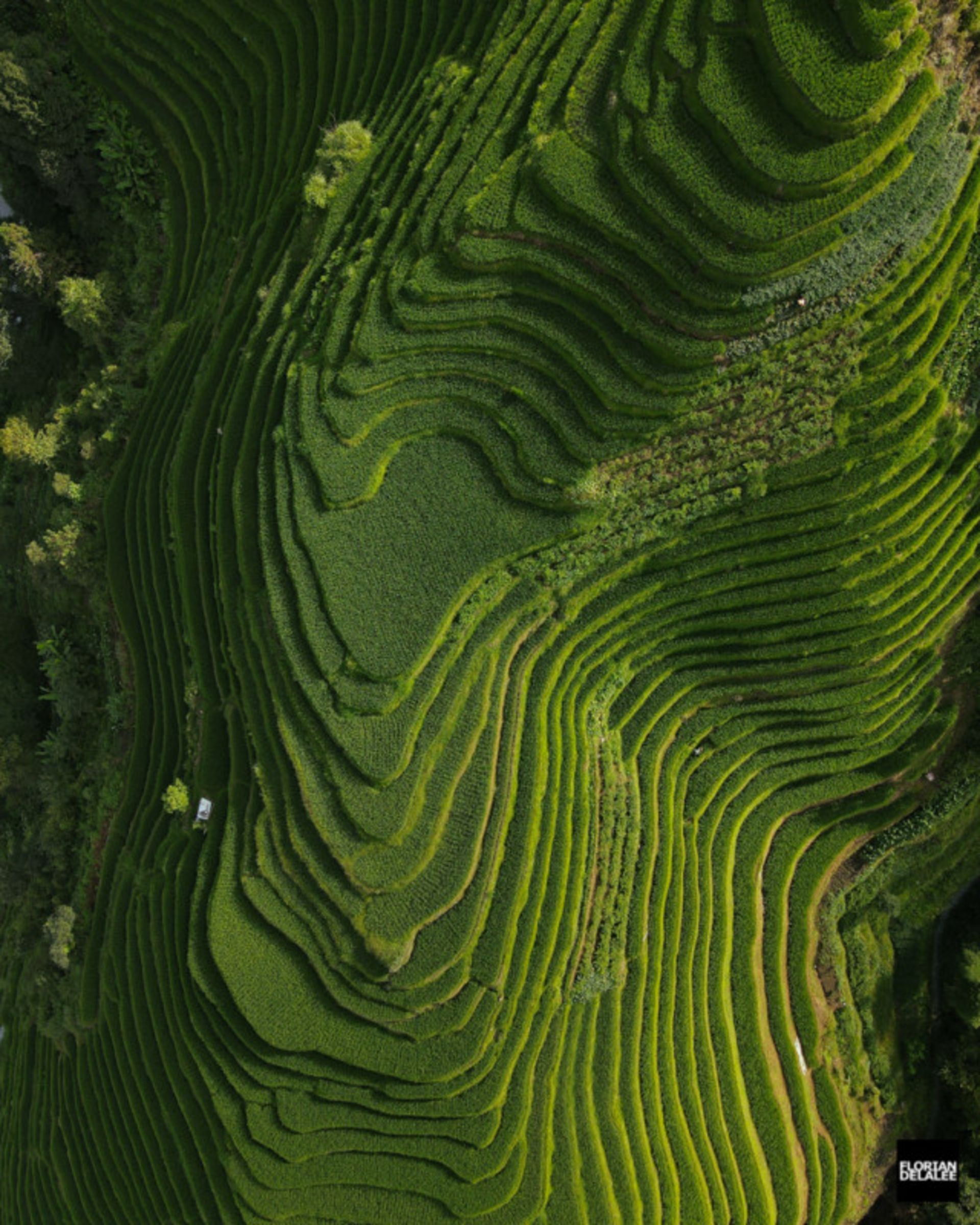 تصاویر هوایی از مناظر چین / فلوریان دلالی