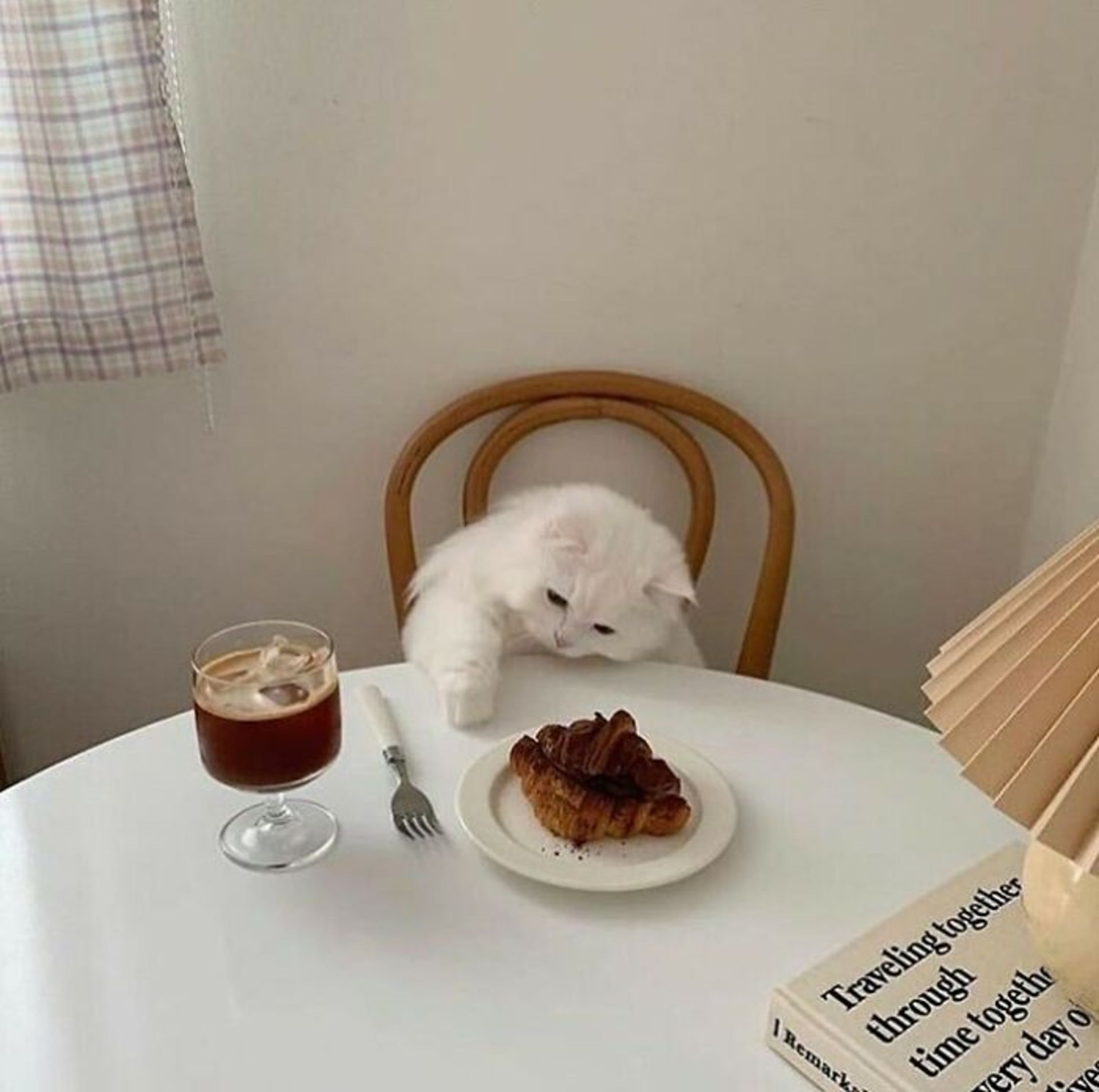 حیوانات بامزه