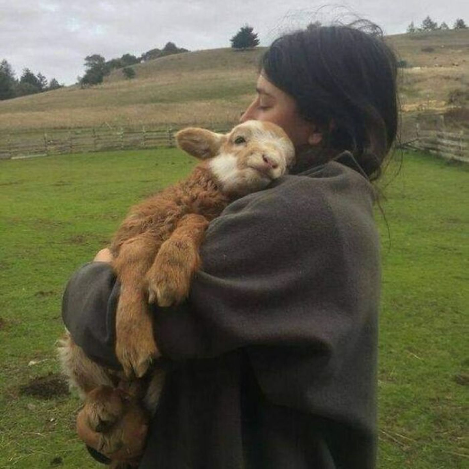 حیوانات بامزه