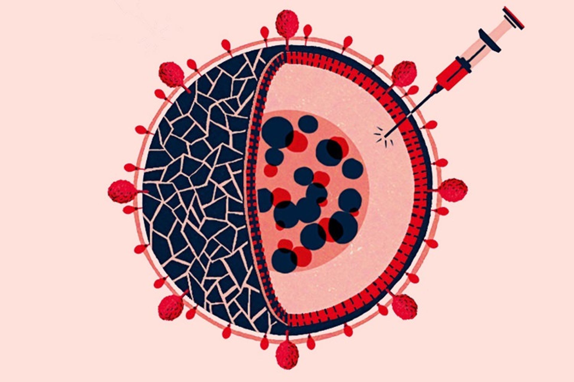 ویروس کرونا - تست PCR