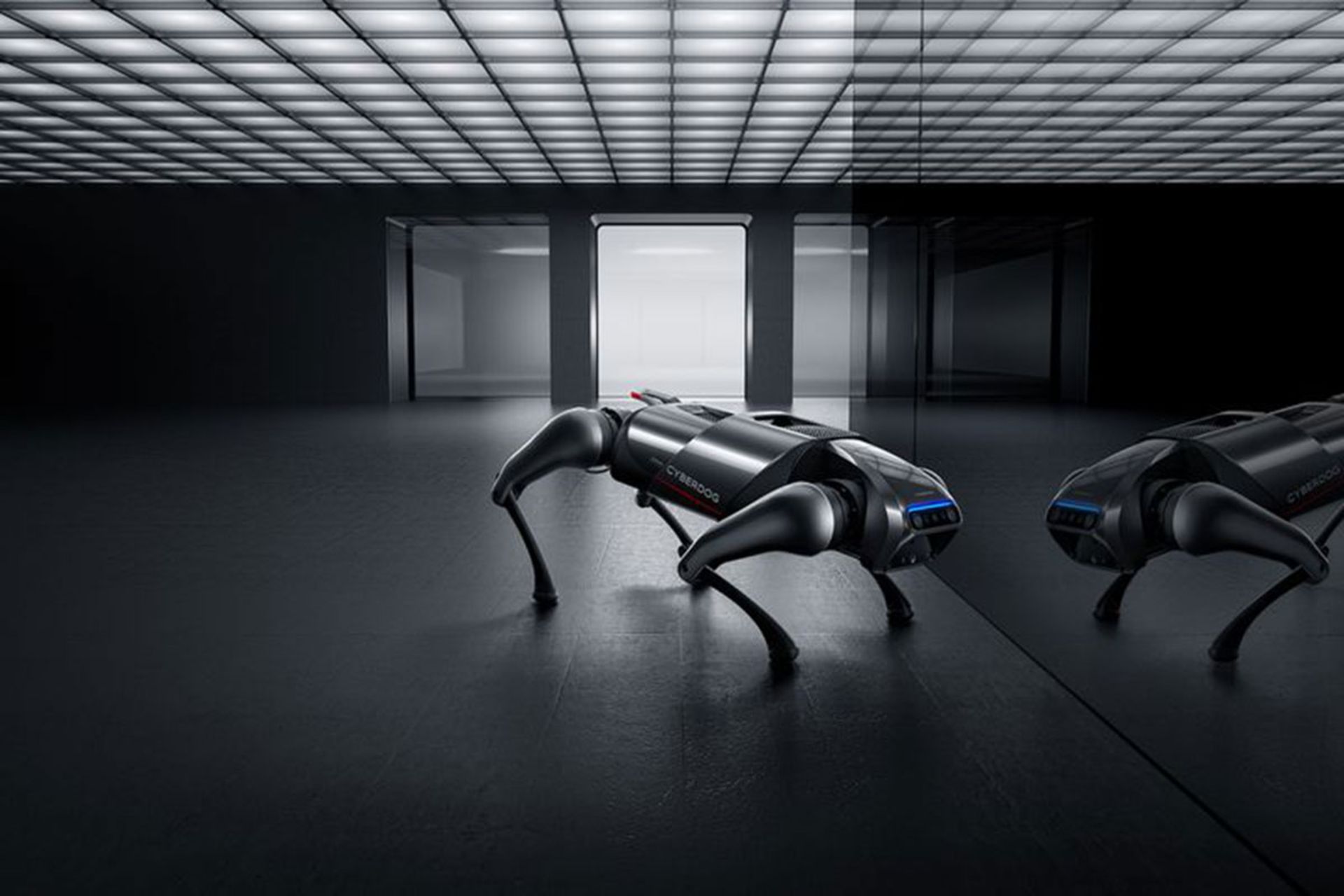 سگ رباتیک شیائومی CyberDog