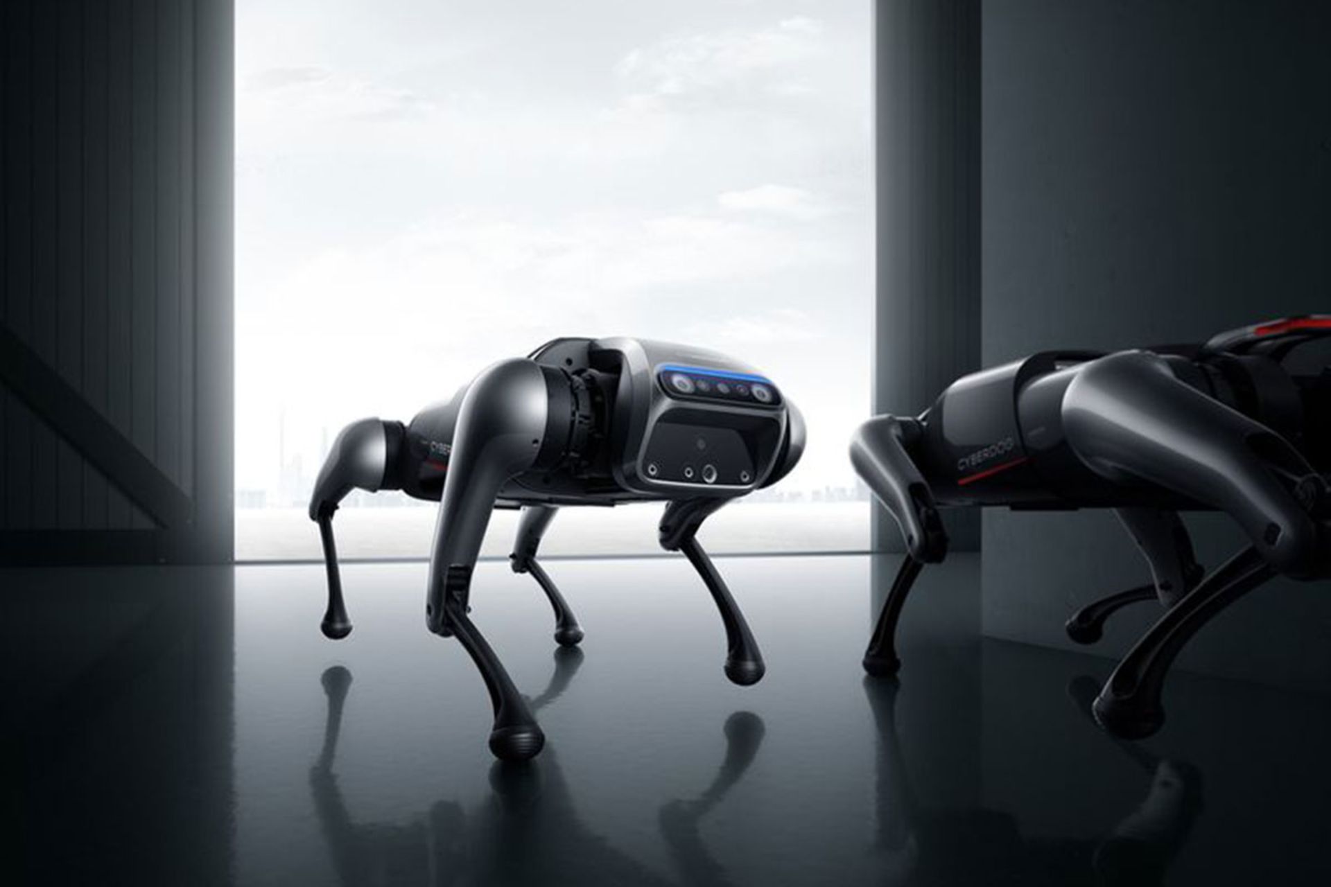 سگ رباتیک شیائومی CyberDog