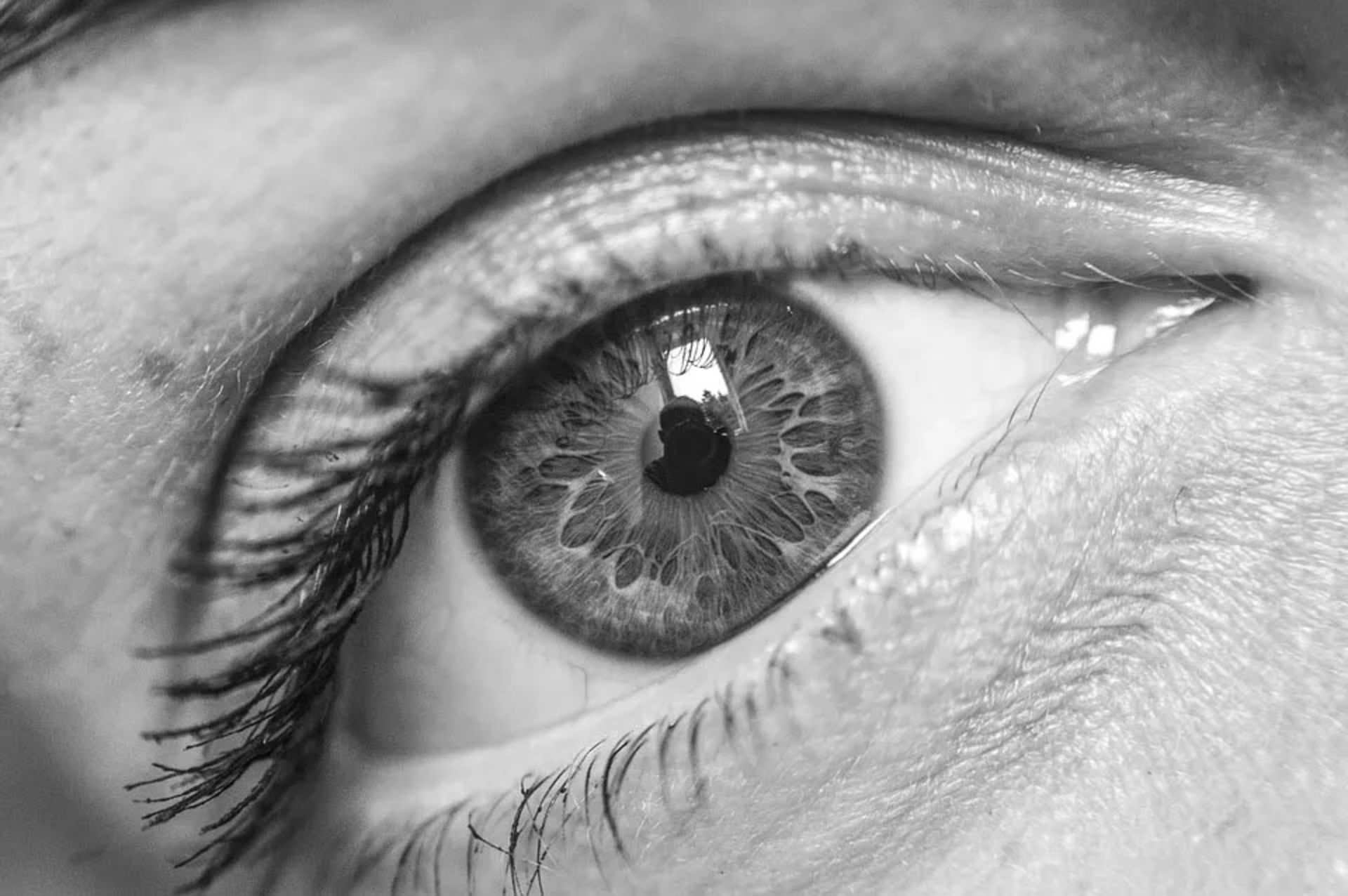عکس اصلی پیش از مقیاس‌دهی