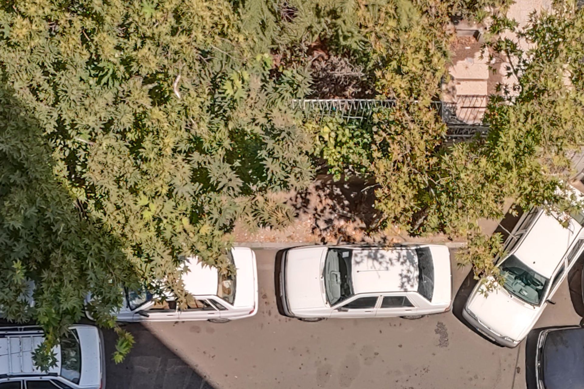 برش واقعی عکس HDR دوربین اصلی می ۱۱ آی