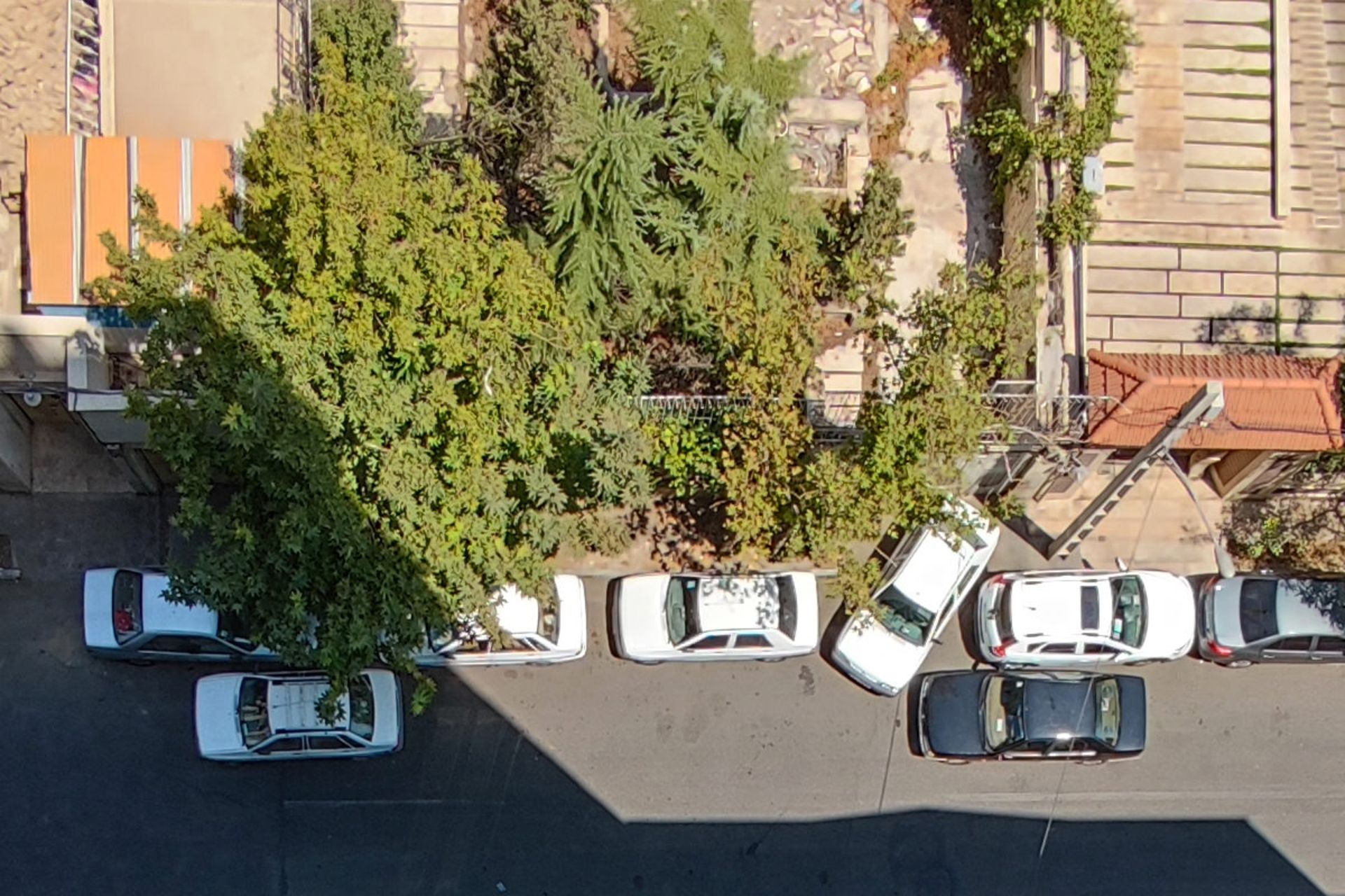 برش واقعی عکس HDR دوربین اولتراواید می ۱۱ آی