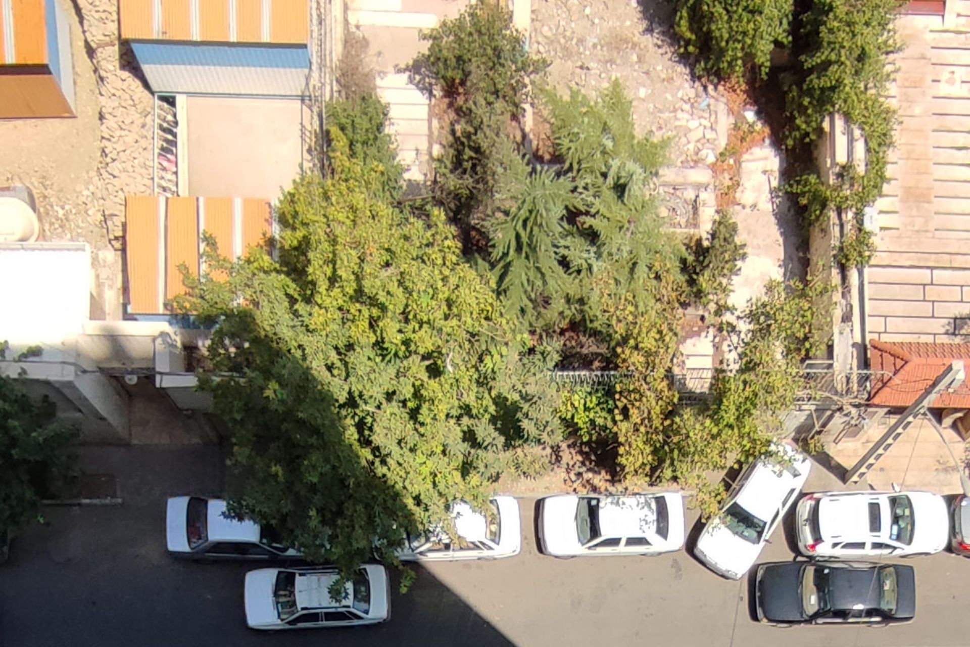 برش واقعی عکس HDR دوربین اولتراواید ردمی نوت ۱۰ پرو