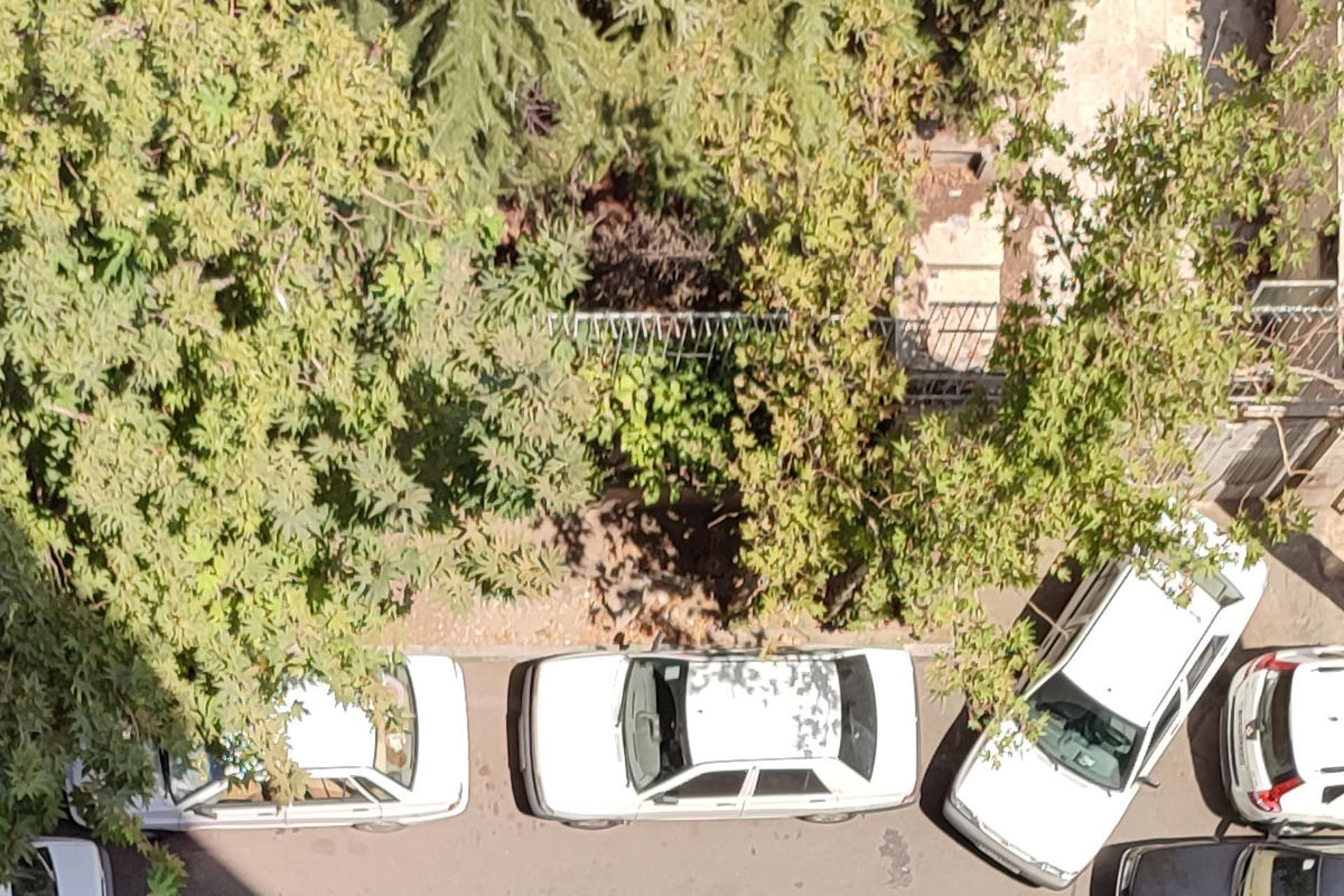 برش واقعی عکس HDR دوربین اصلی ردمی نوت ۱۰ پرو