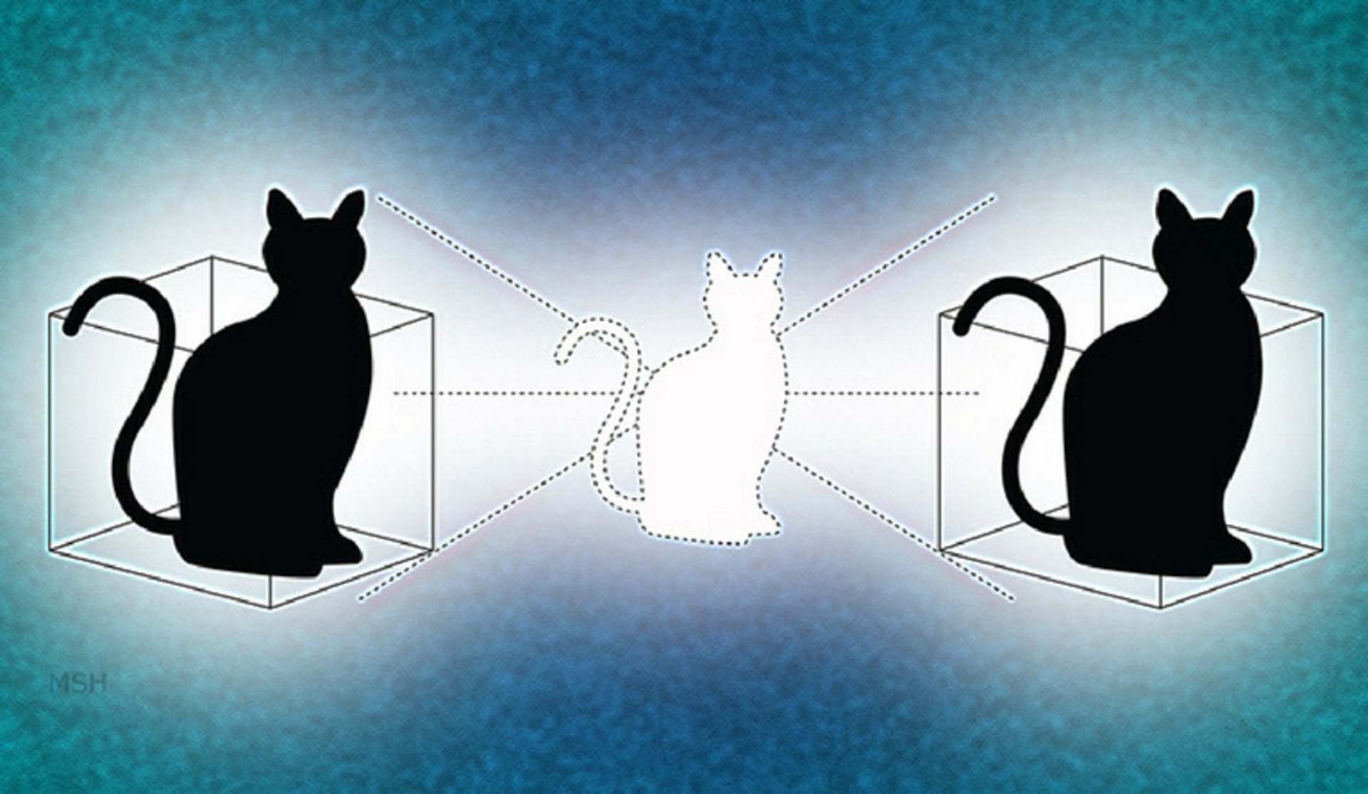 مرجع متخصصين ايران مفهومي از گربه شرودينگر