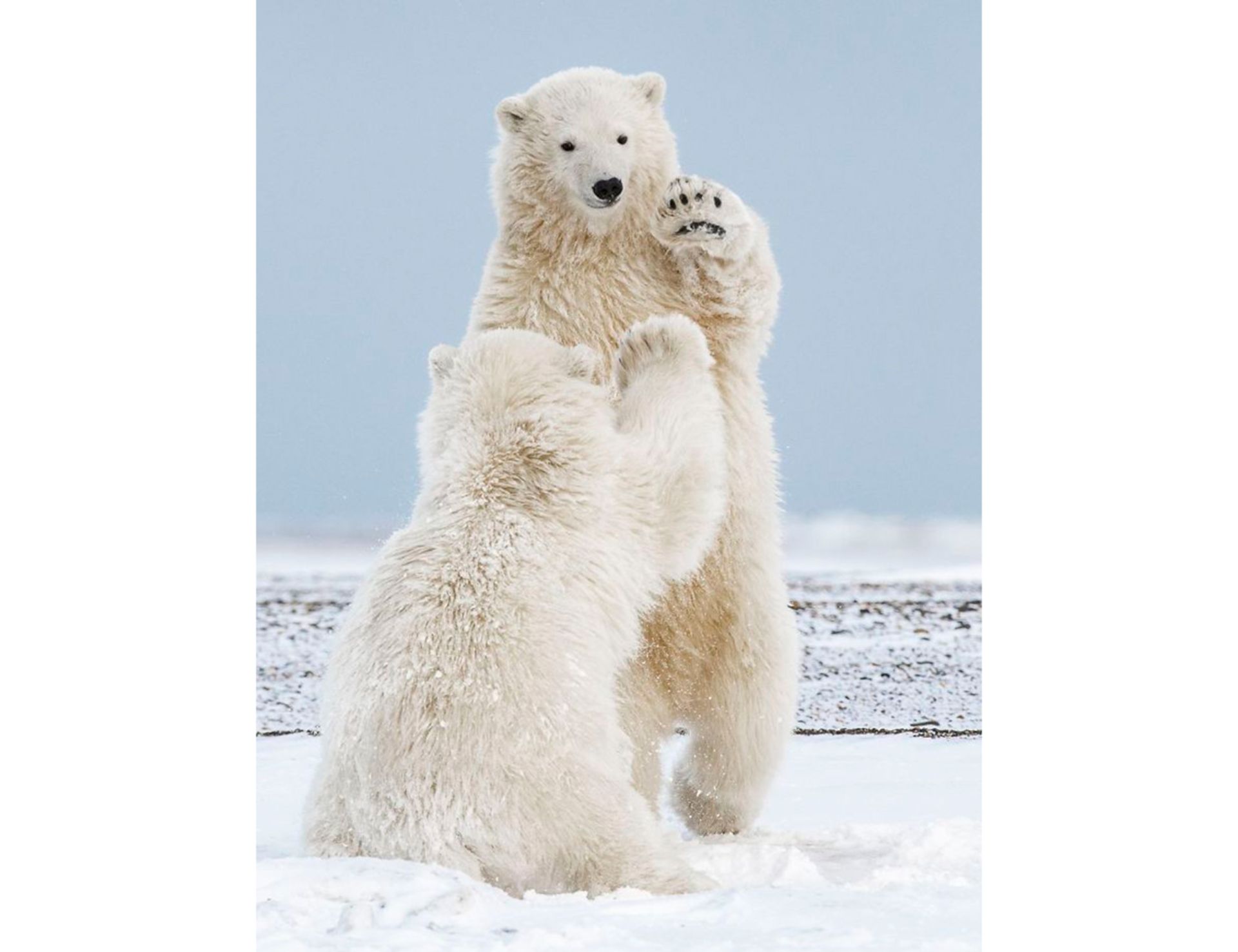 تصاویر برتر مسابقه عکاسی سفر نشنال جئوگرافیک