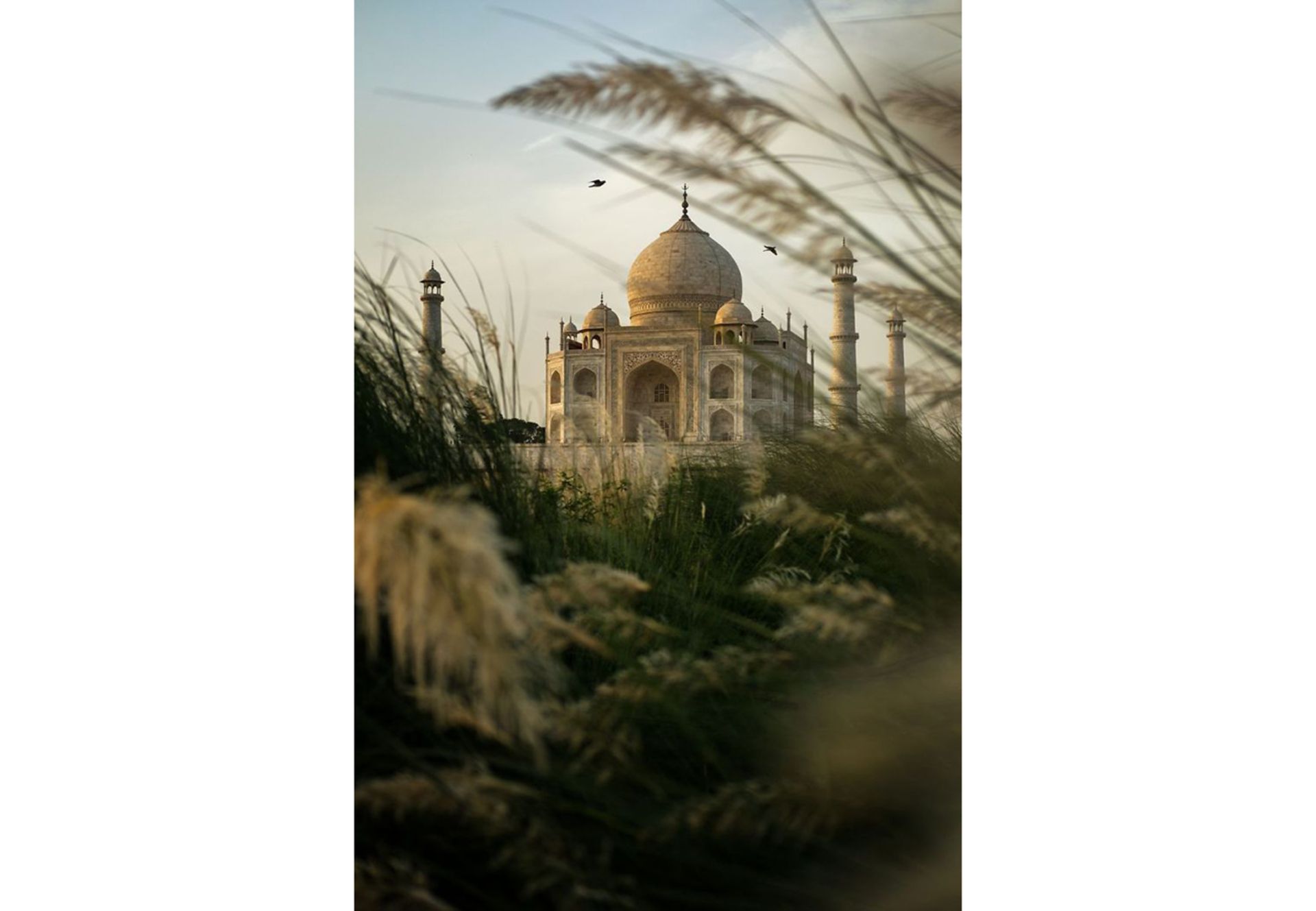 تصاویر برتر مسابقه عکاسی سفر نشنال جئوگرافیک