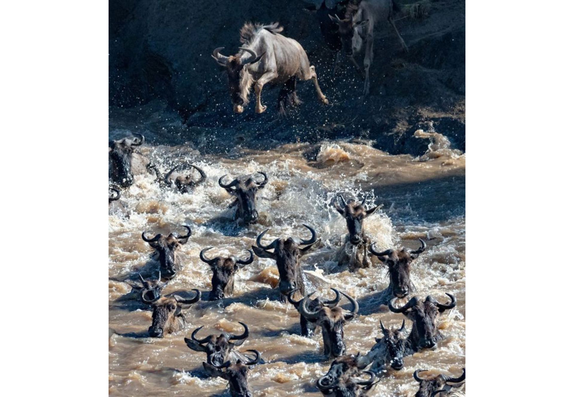 تصاویر برتر مسابقه عکاسی سفر نشنال جئوگرافیک