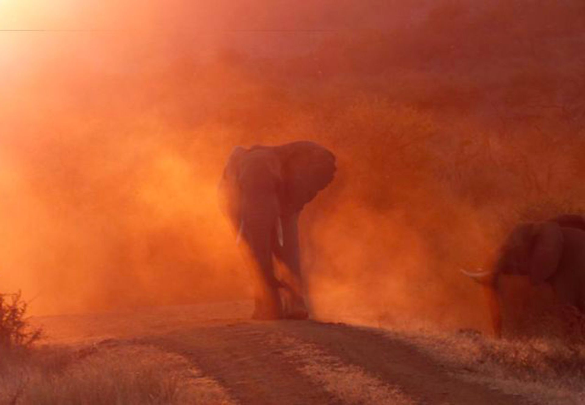 تصاویر برتر مسابقه عکاسی سفر نشنال جئوگرافیک