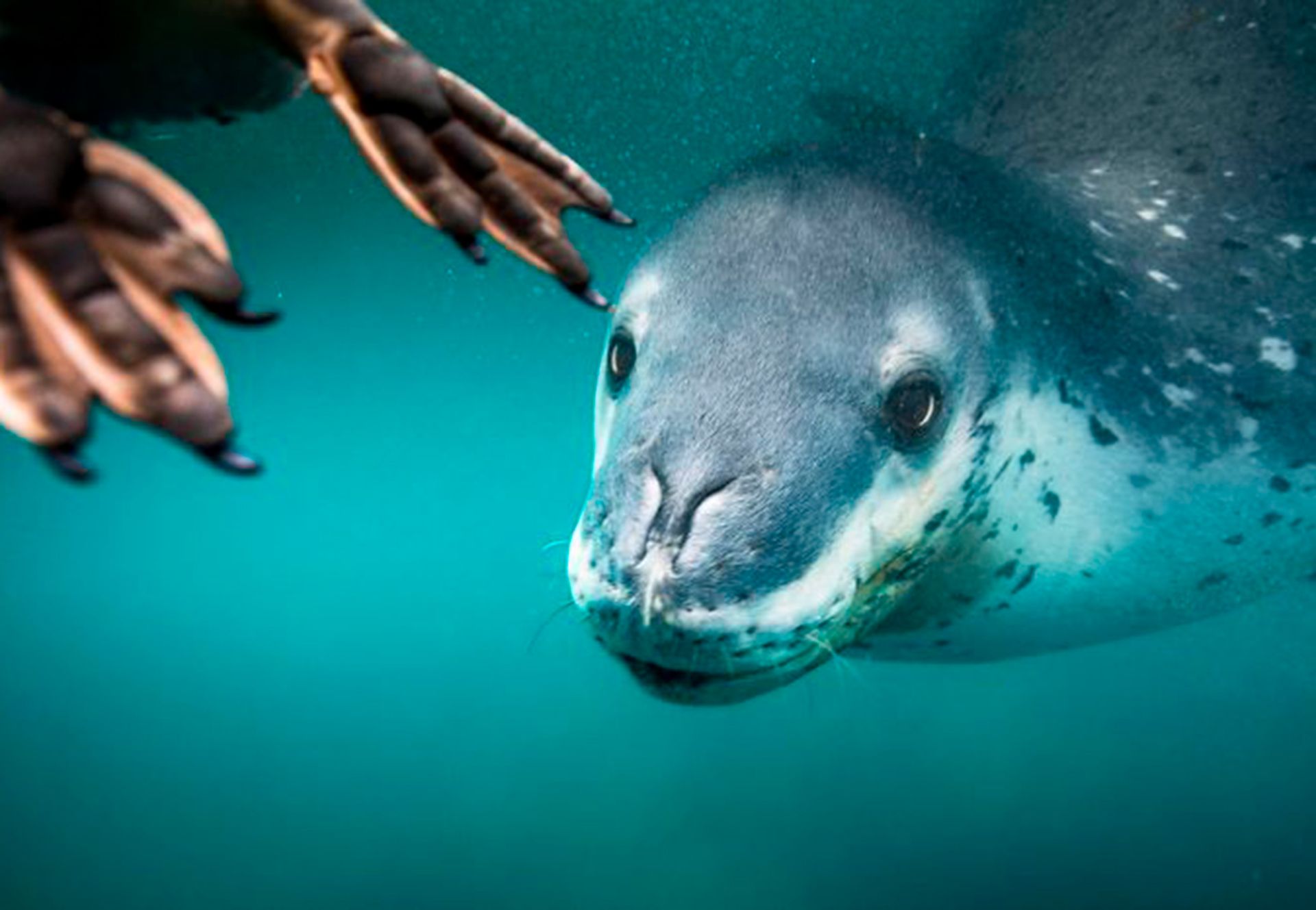 تصاویر برتر مسابقه عکاسی سفر نشنال جئوگرافیک