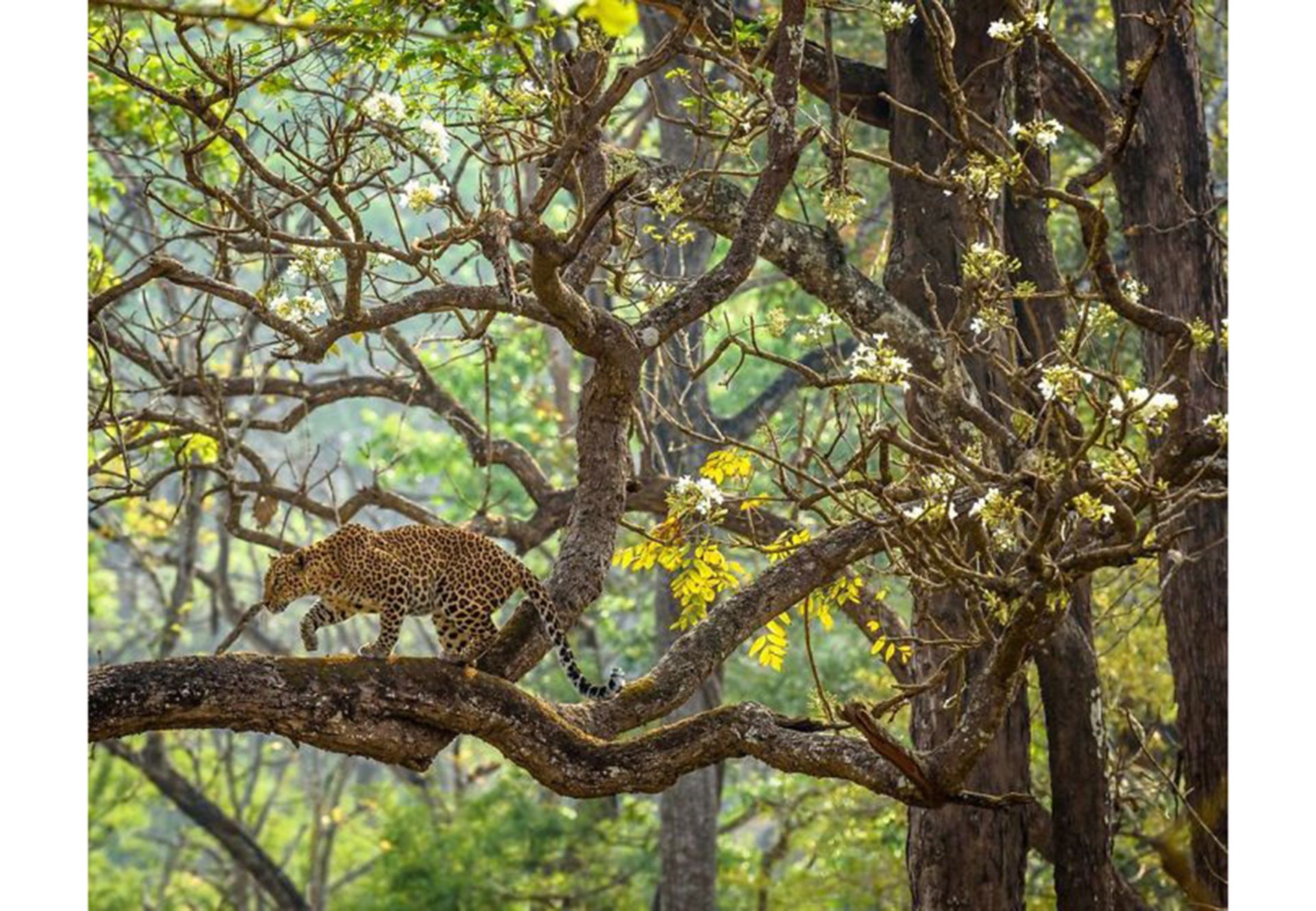 تصاویر برتر مسابقه عکاسی سفر نشنال جئوگرافیک