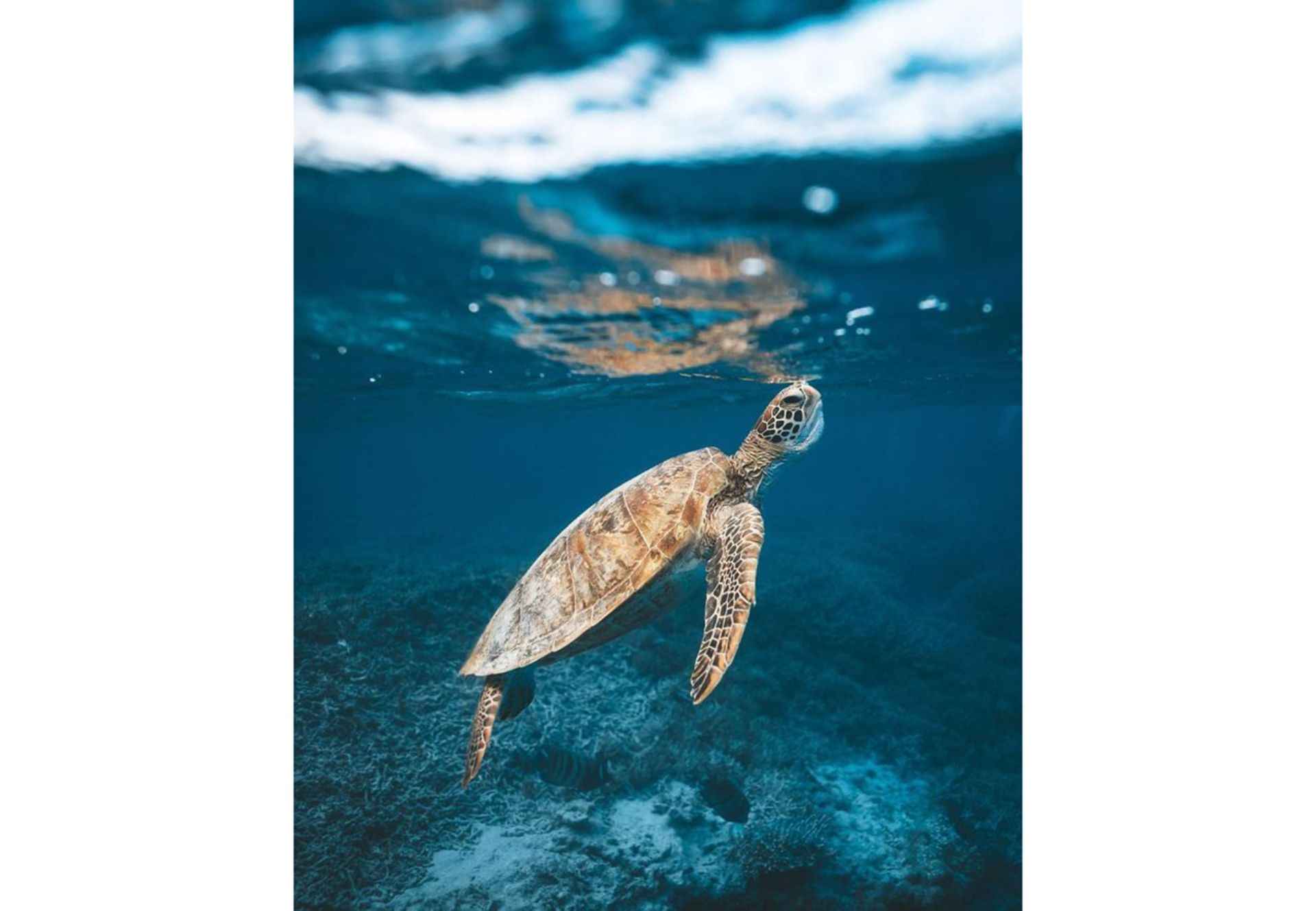 تصاویر برتر مسابقه عکاسی سفر نشنال جئوگرافیک