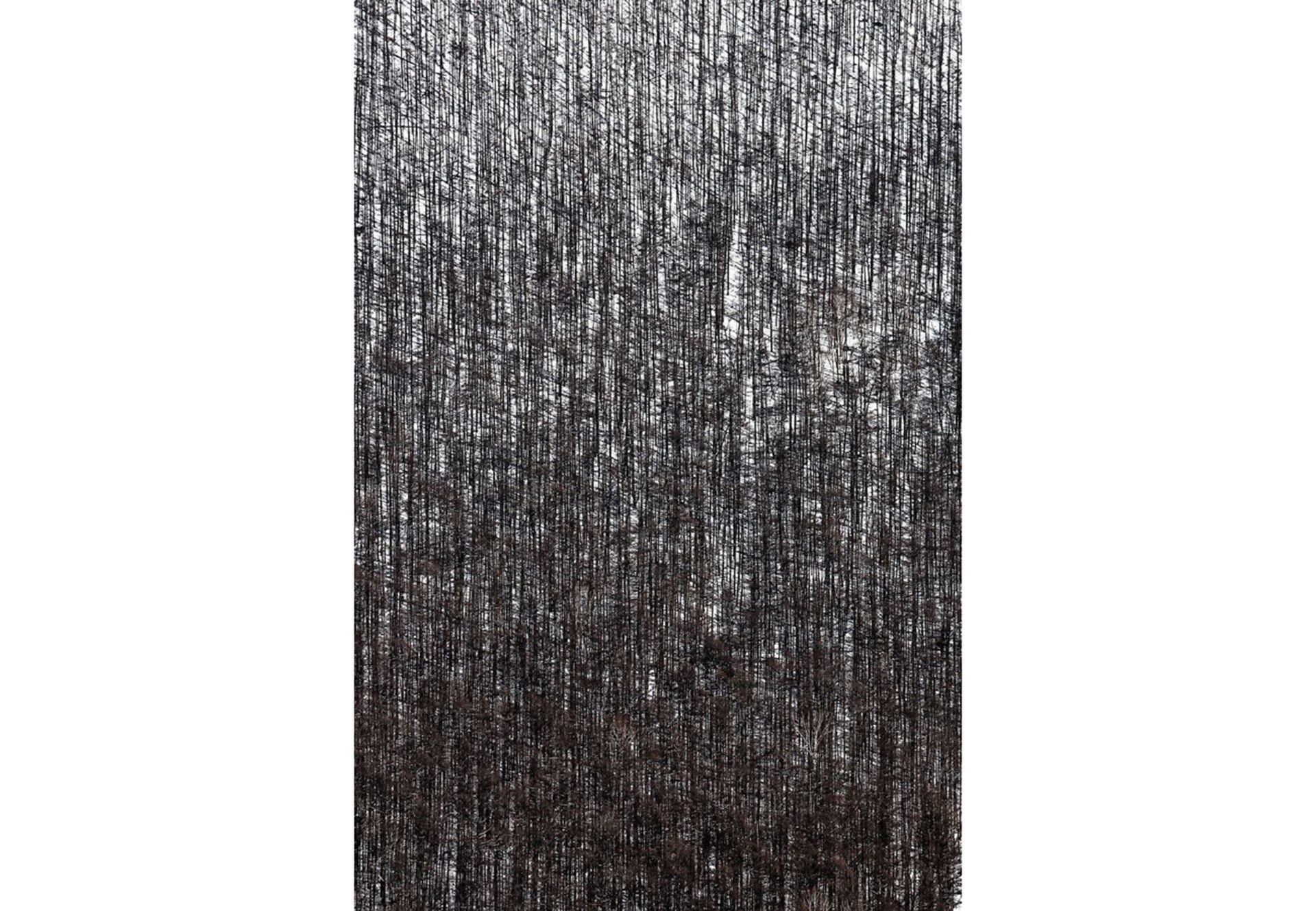 تصاویر برتر مسابقه عکاسی سفر نشنال جئوگرافیک