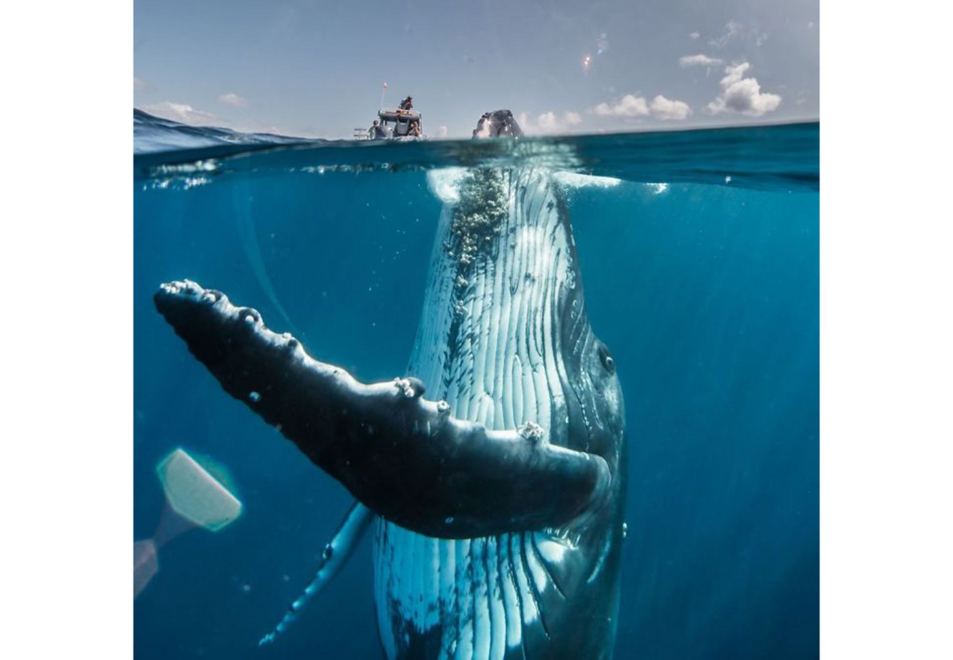 تصاویر برتر مسابقه عکاسی سفر نشنال جئوگرافیک