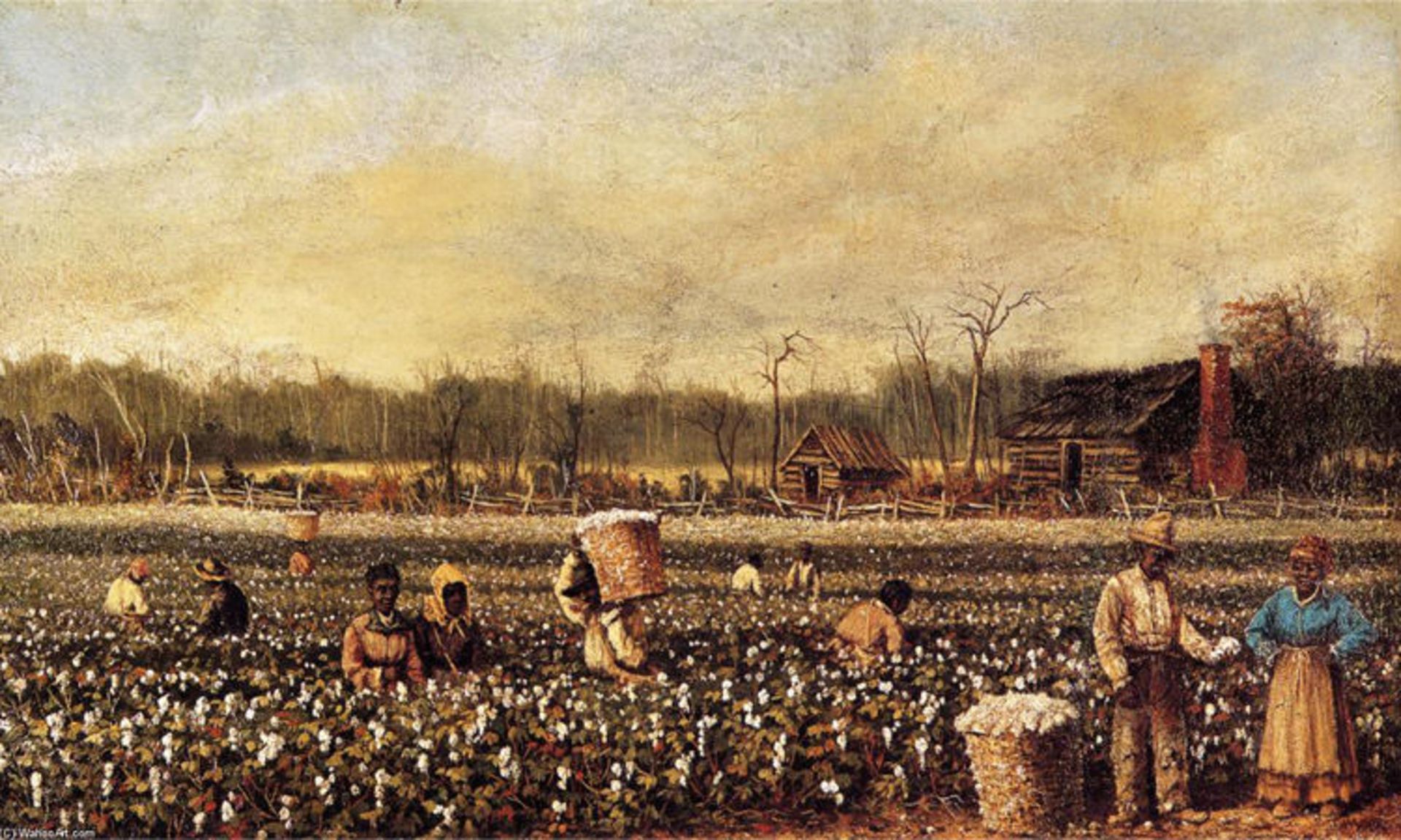 نقاشی مزارع پنبه در دوران استعمارگری اثر ویلیام ایکن واکر