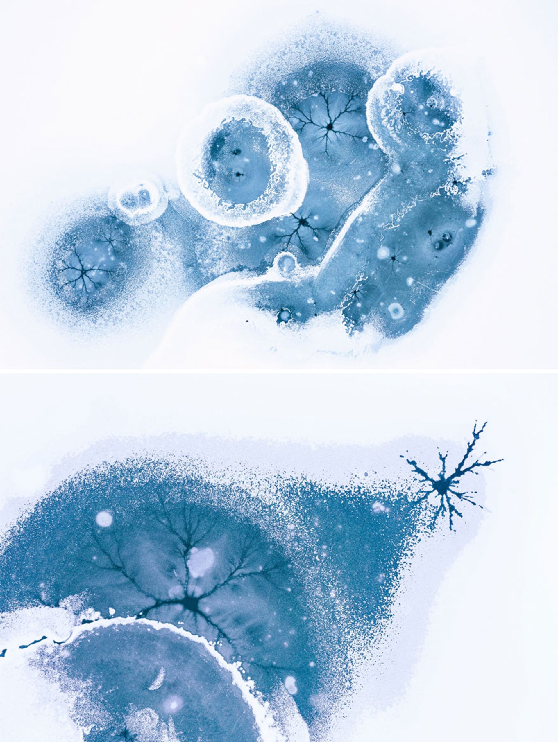 تصاویر قدرتمند از برندگان مسابقه عکاسی با پهپاد ۲۰۲۱