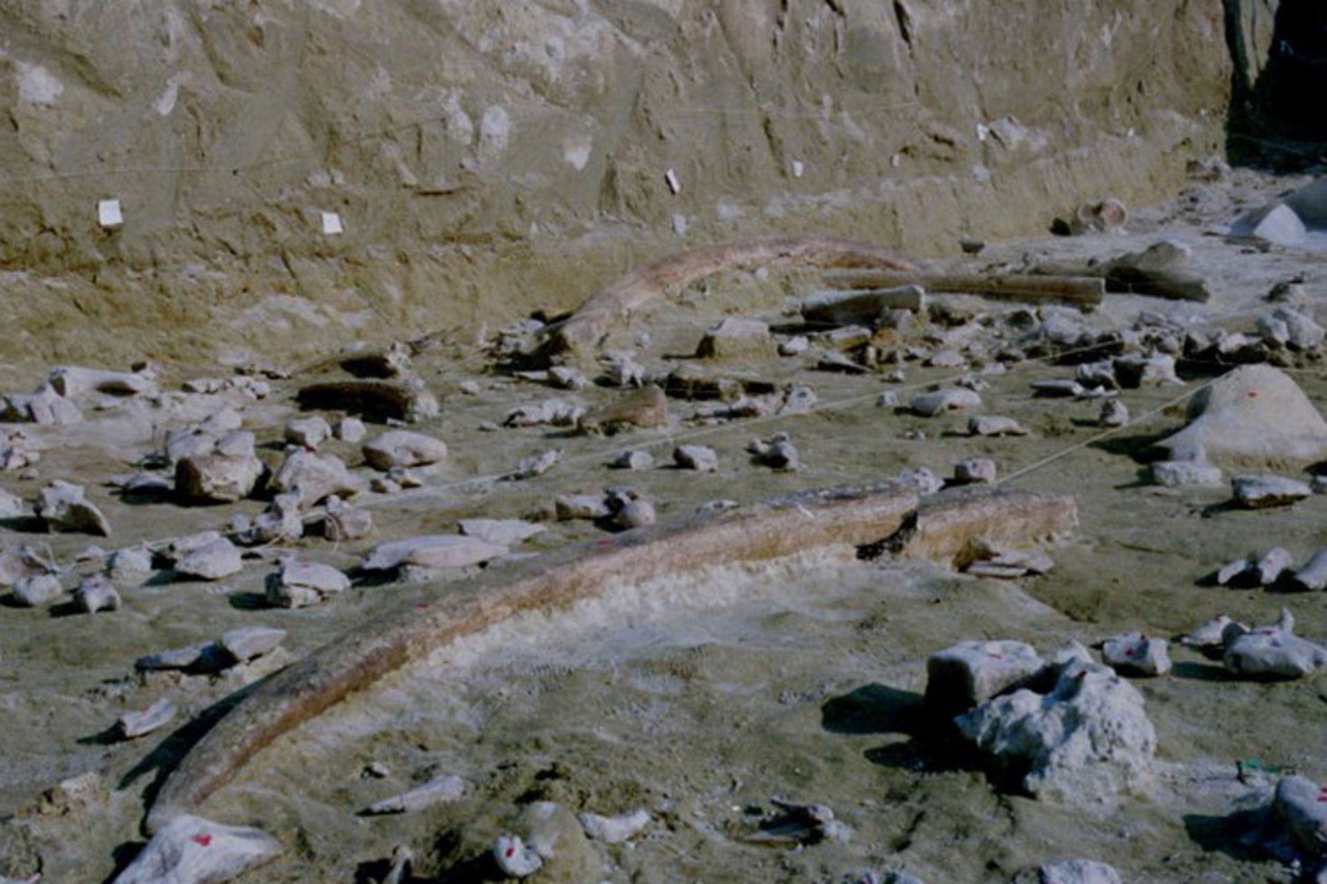 کسل دی گویدو محوطه باستانی