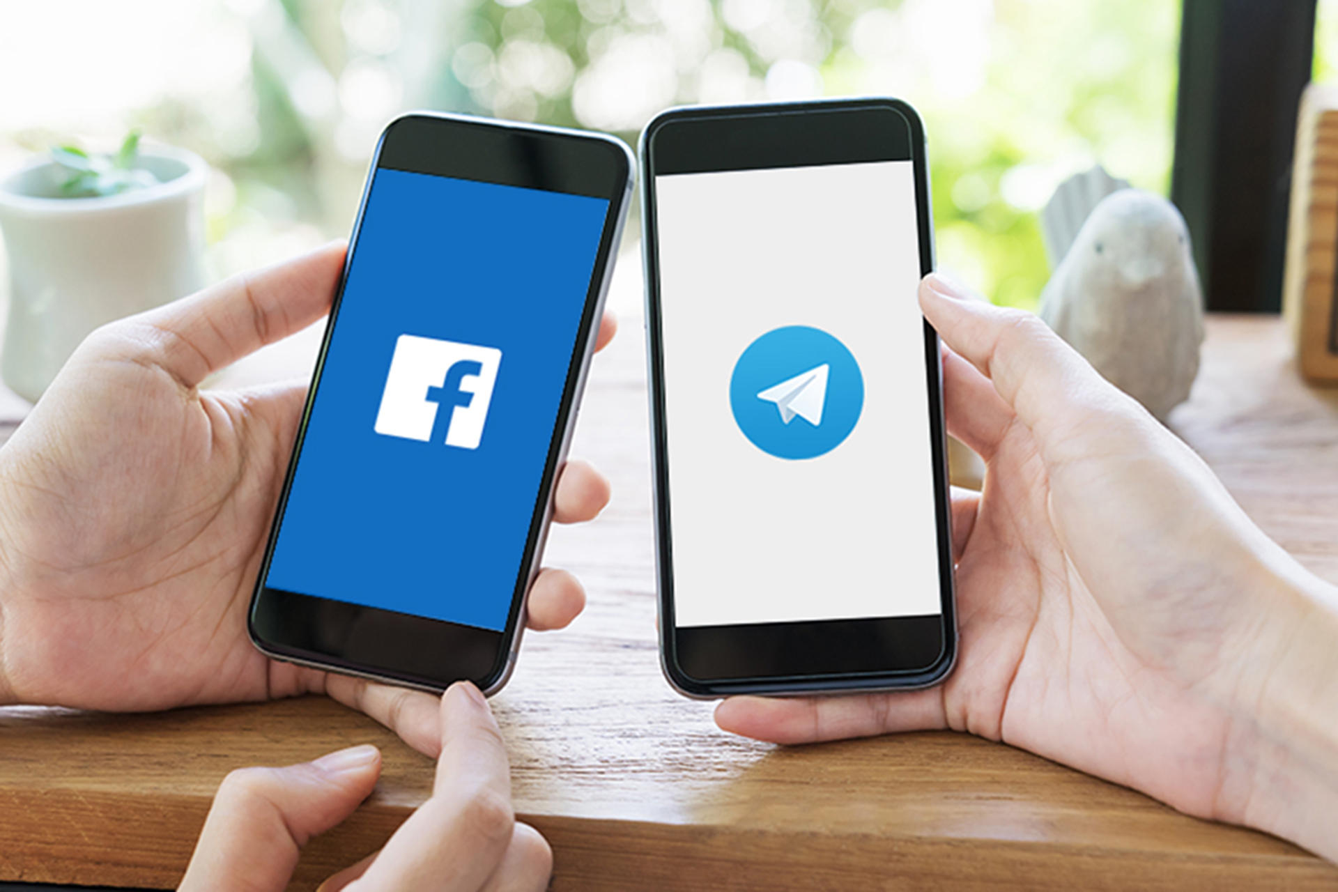 Facebook telegram. Фейсбук телеграмм. Telegram против Фейсбук. Телеграм бот фильмы.