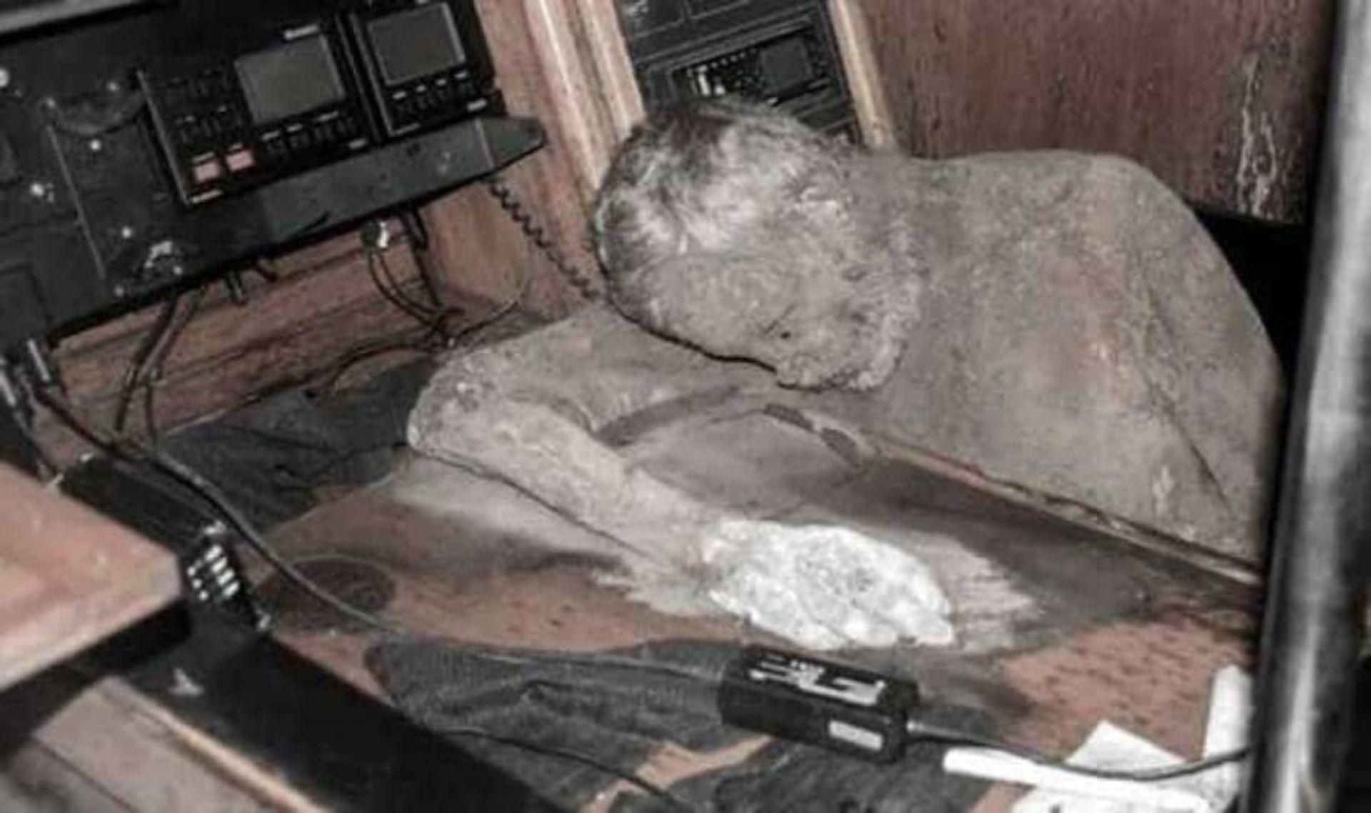 جسد مومیایی‌شده مانفرد فریتس بایورات