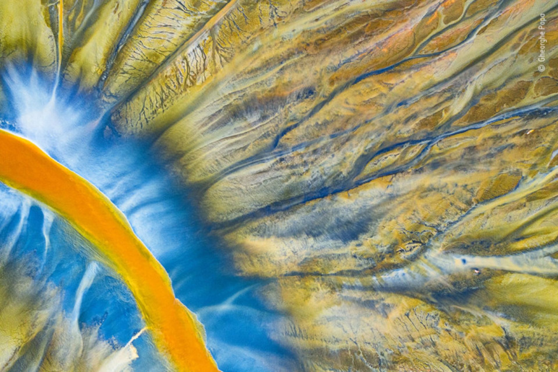 تصاویر برتر مسابقه عکاسی از حیات وحش ۲۰۲۱