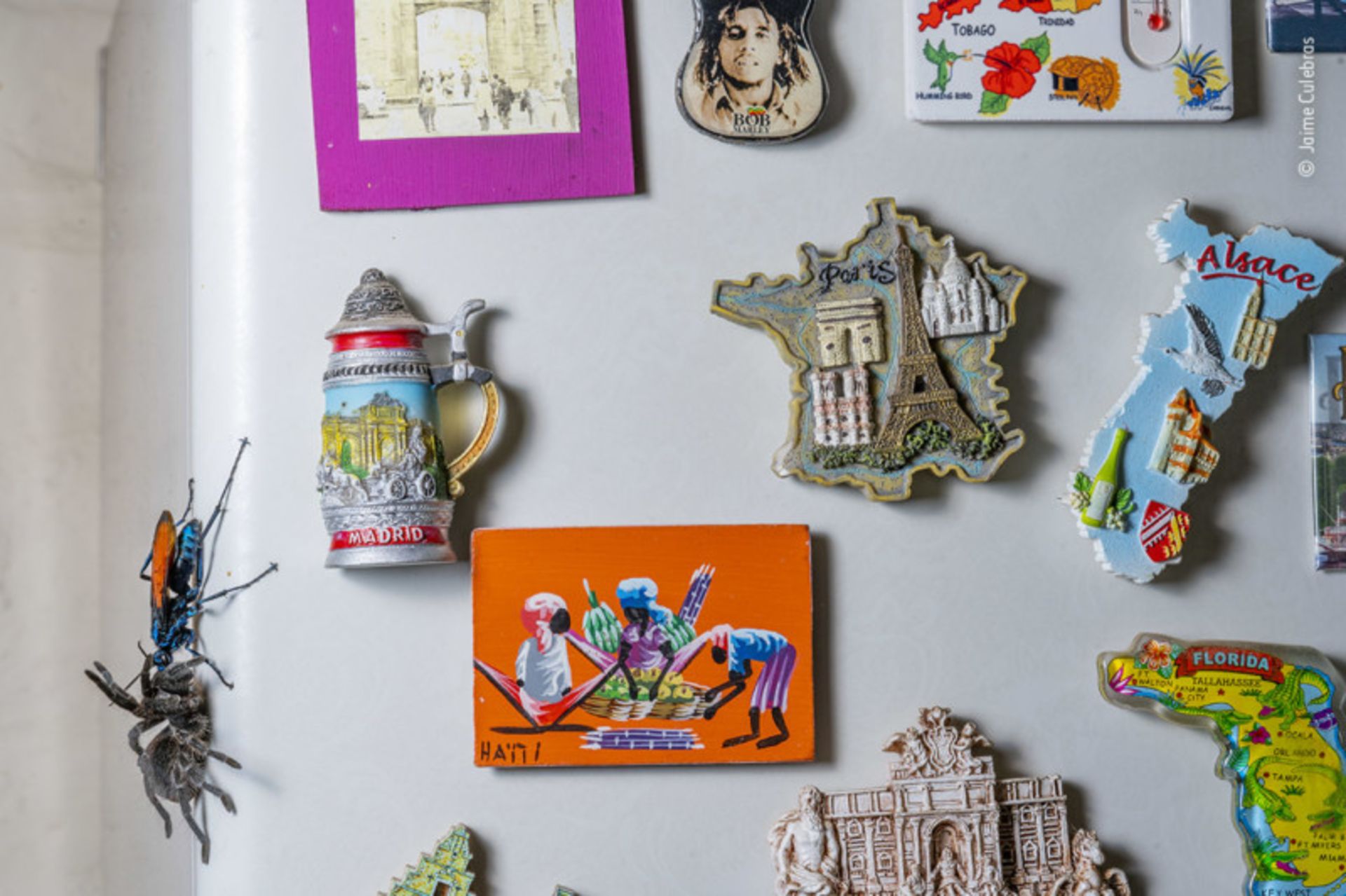 تصاویر برتر مسابقه عکاسی از حیات وحش ۲۰۲۱