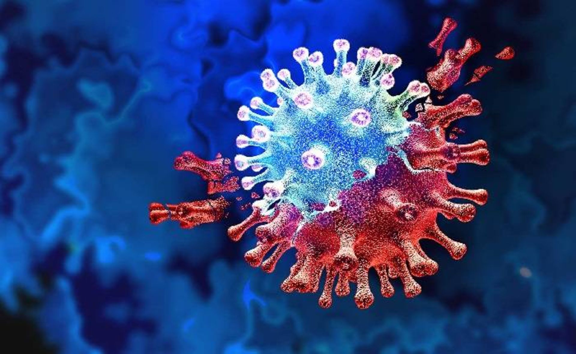 ویروس کرونا / coronavirus