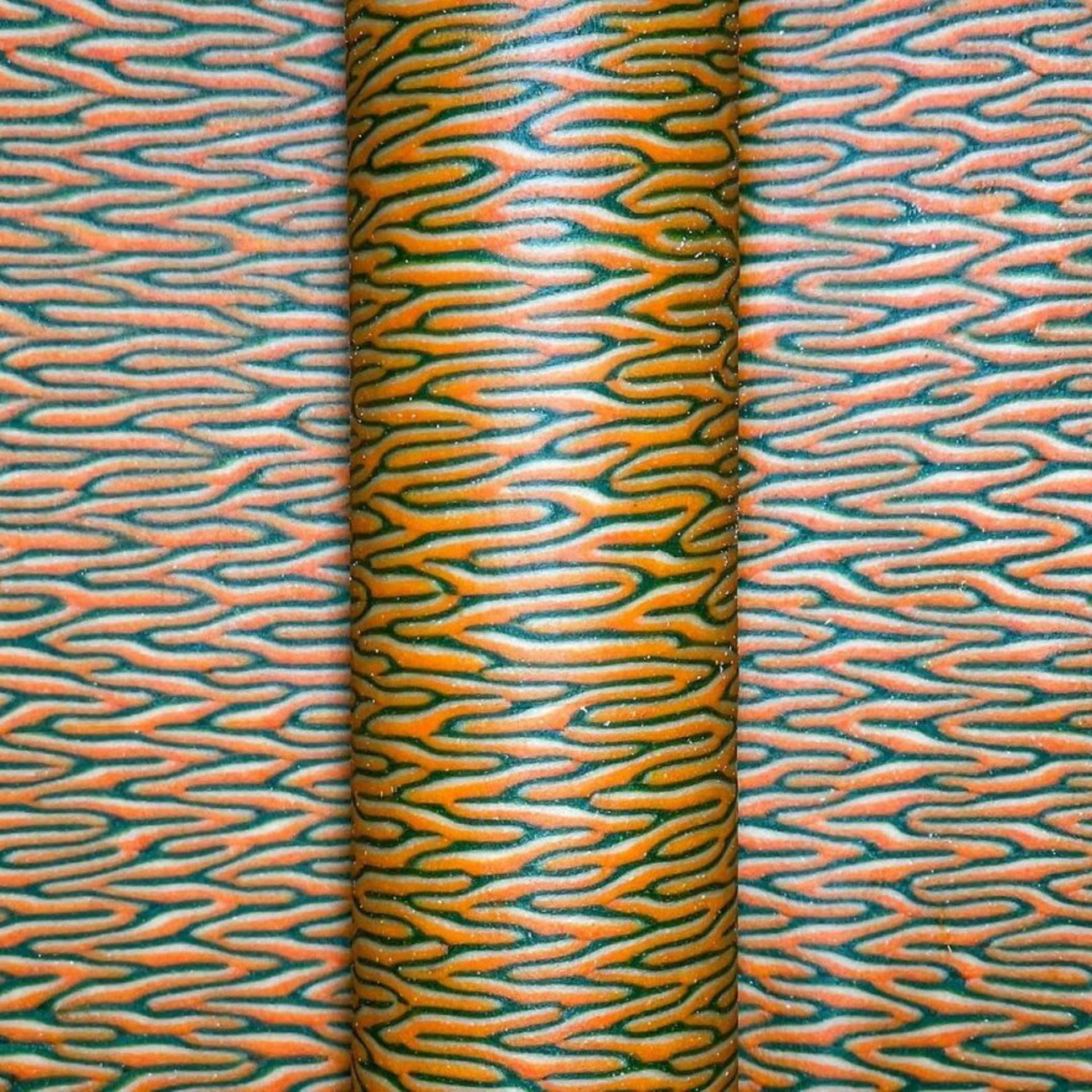 پاستاهایی با طرح و شکل خاص