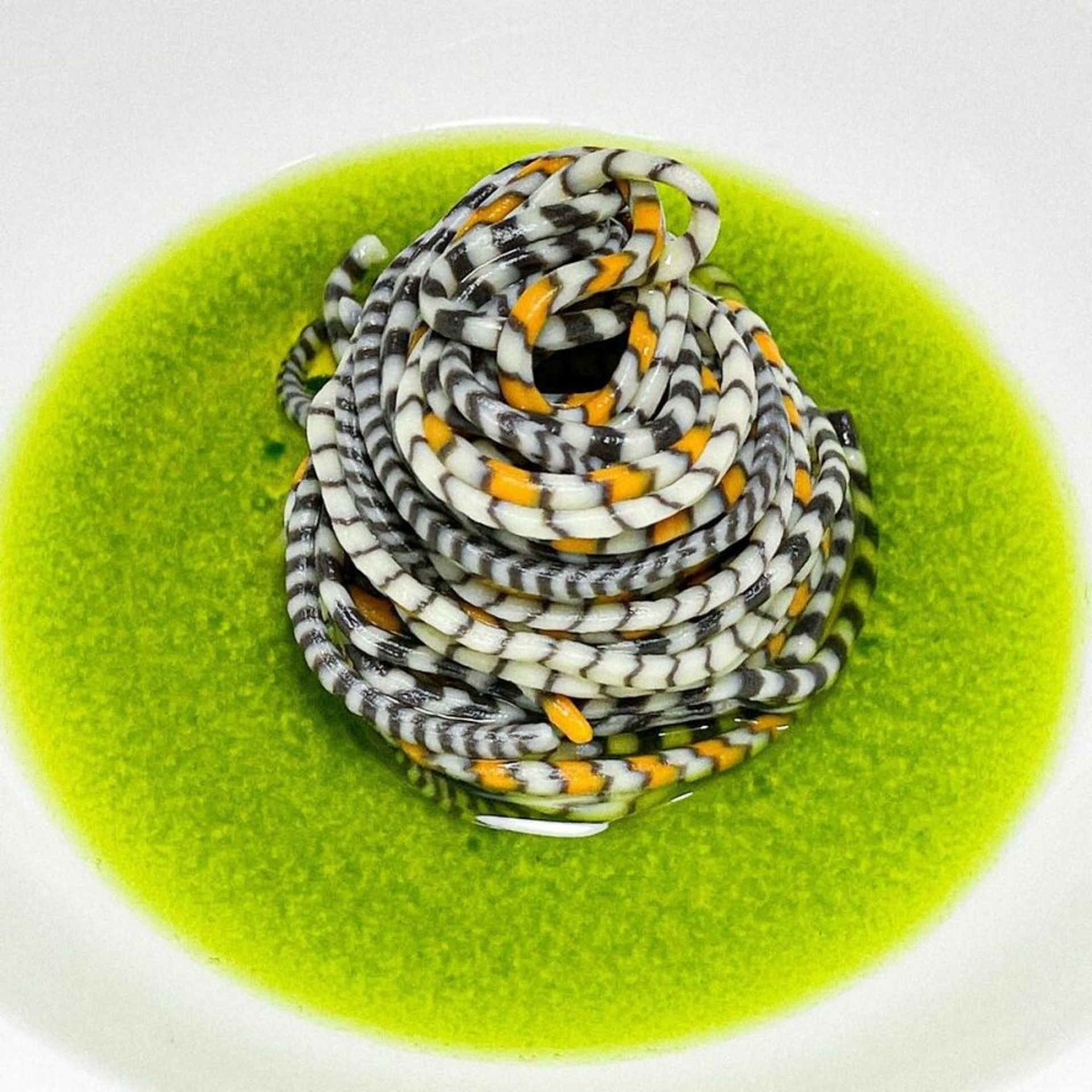 پاستاهایی با طرح و شکل خاص