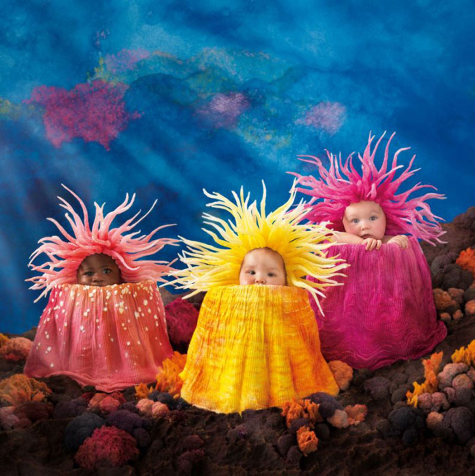 عکاسی نوزاد