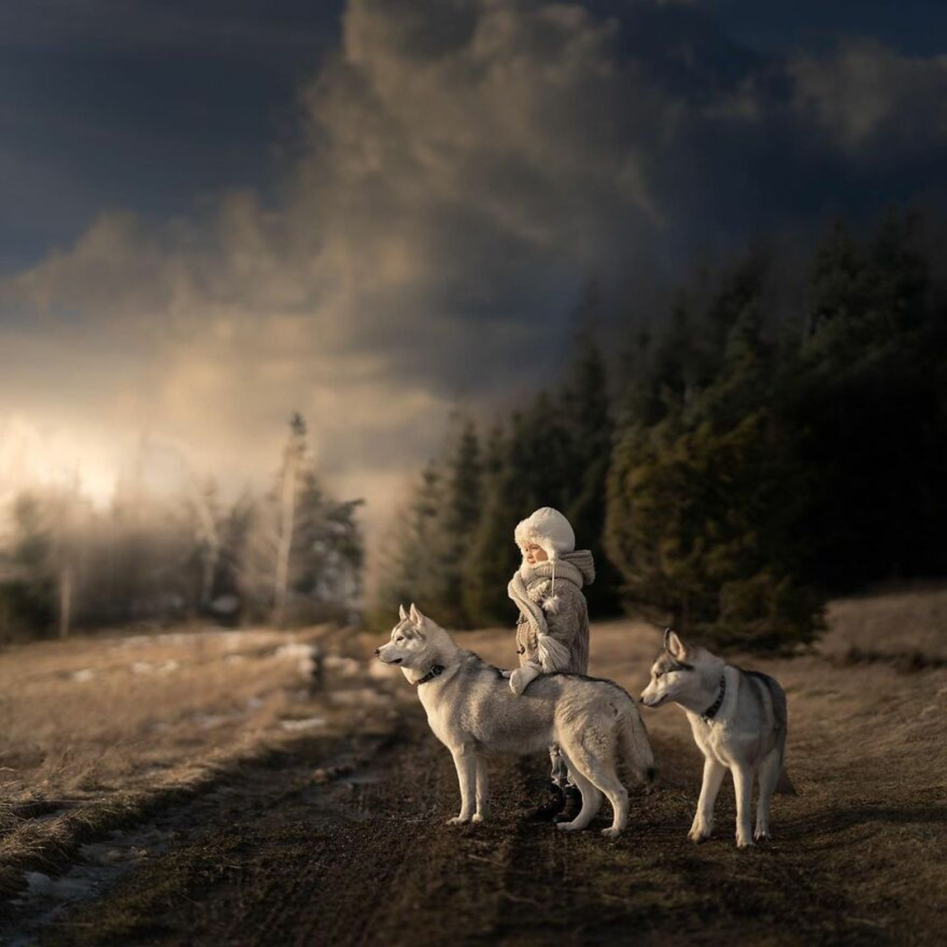 عکاسی کودکان