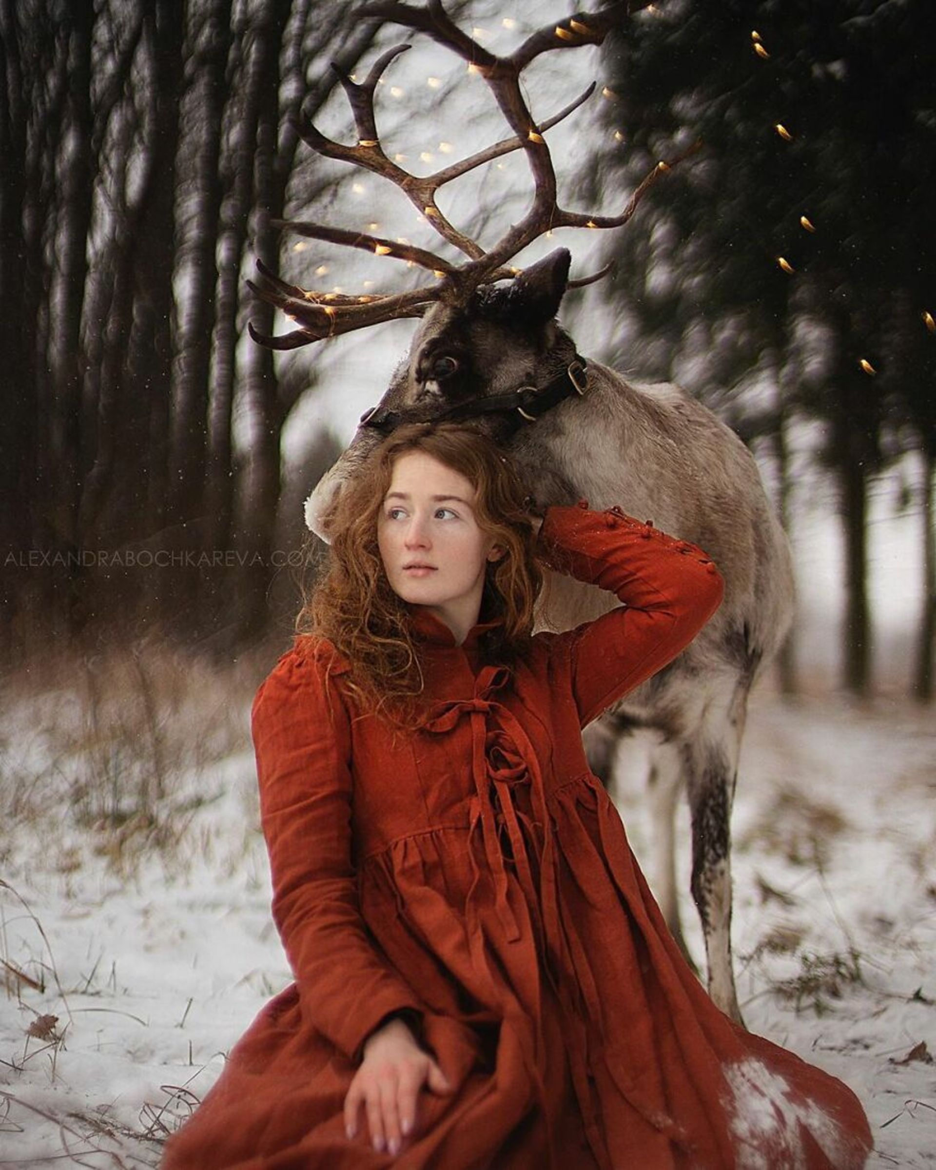پیوند بین انسان و حیوان