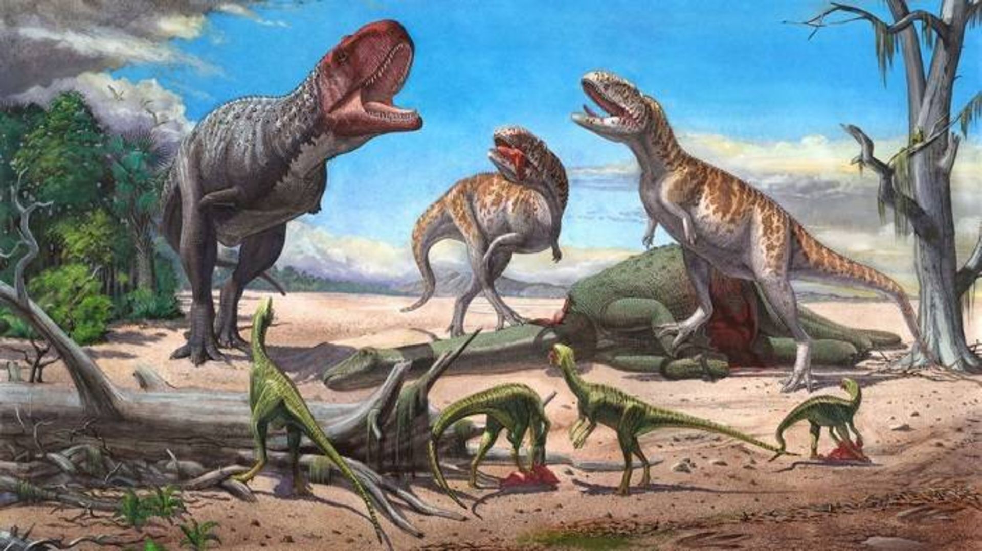 راجاسور / Rajasaurus