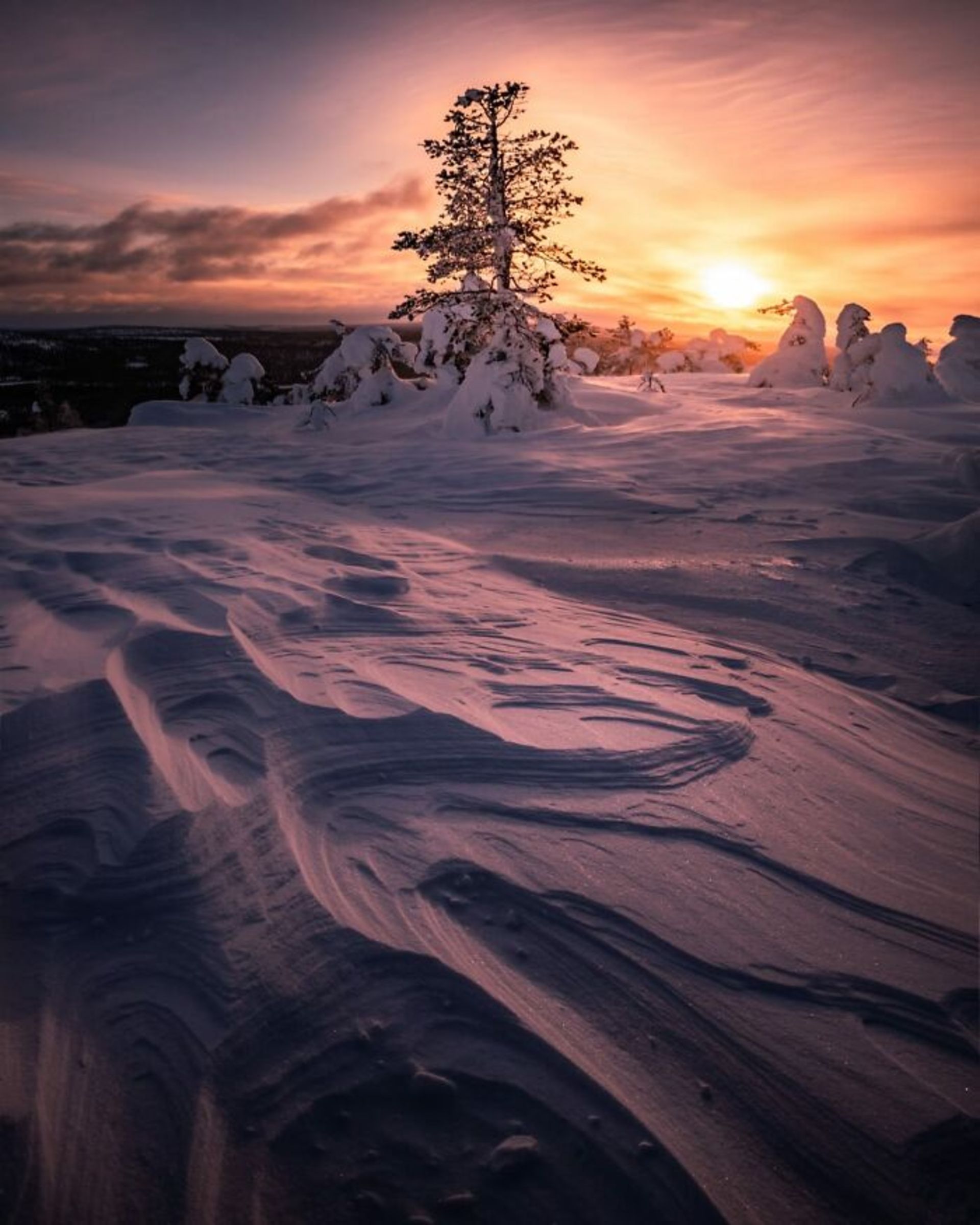 طبیعت وحشی و دست‌نخورده فنلاند