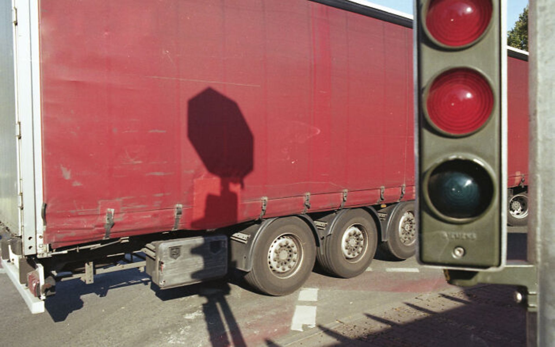 برندگان جوایز عکاسی مجله AAP سال ۲۰۲۲