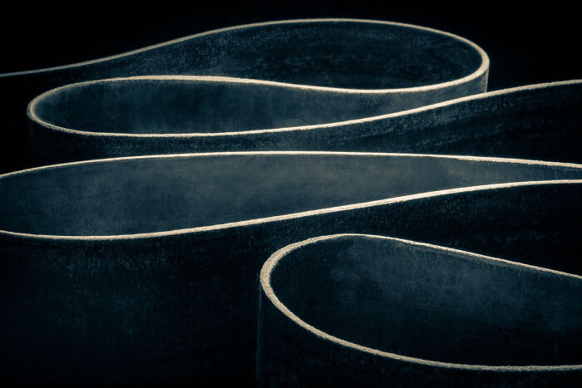 برندگان جوایز عکاسی مجله AAP سال ۲۰۲۲