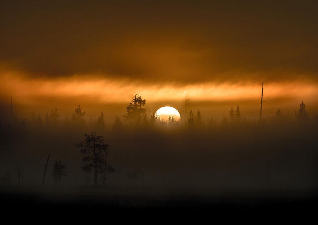 طبیعت وحشی و دست‌نخورده فنلاند