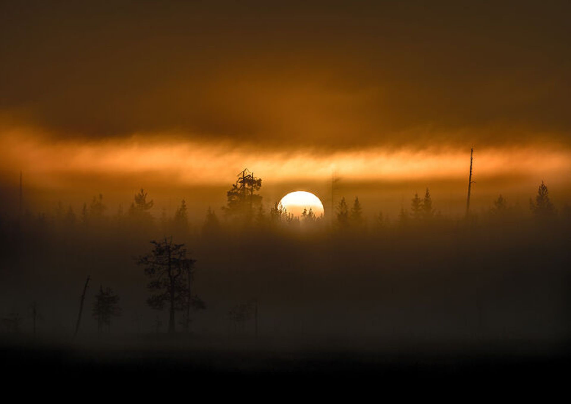 طبیعت وحشی و دست‌نخورده فنلاند