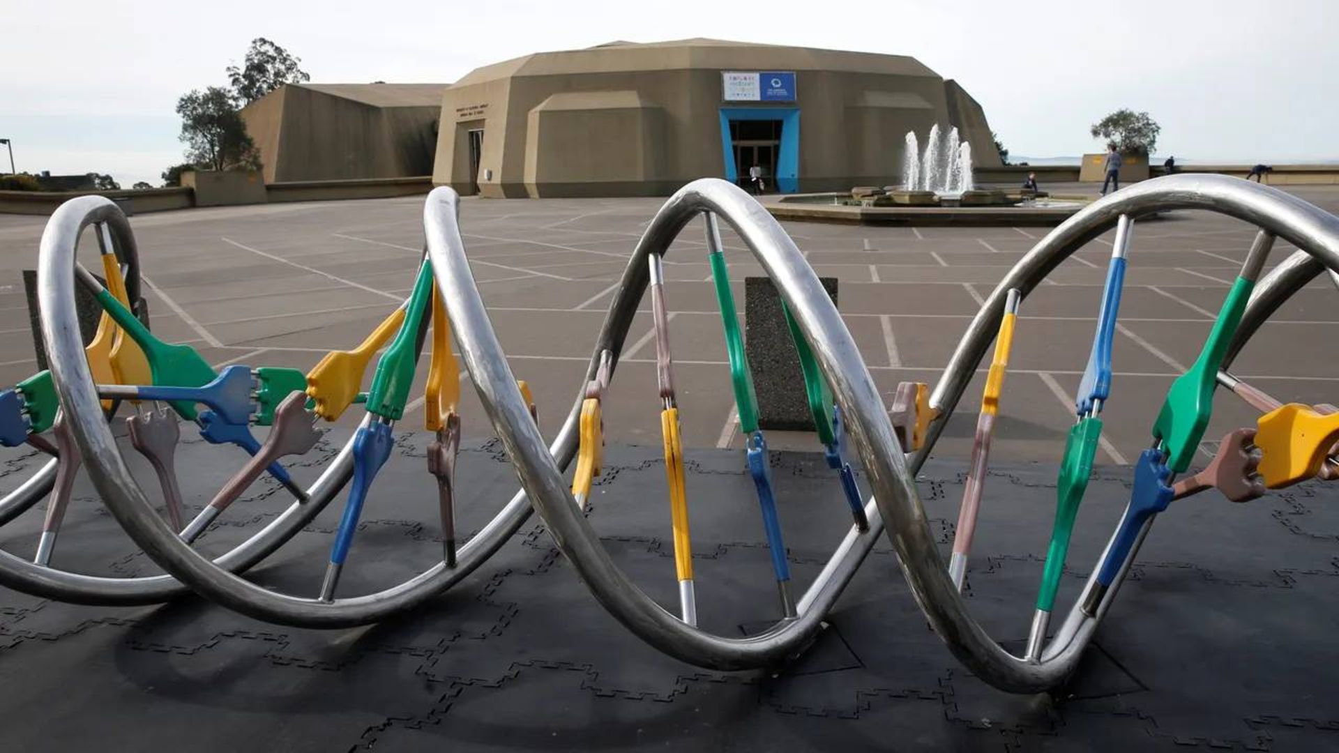 دی ان ای / DNA