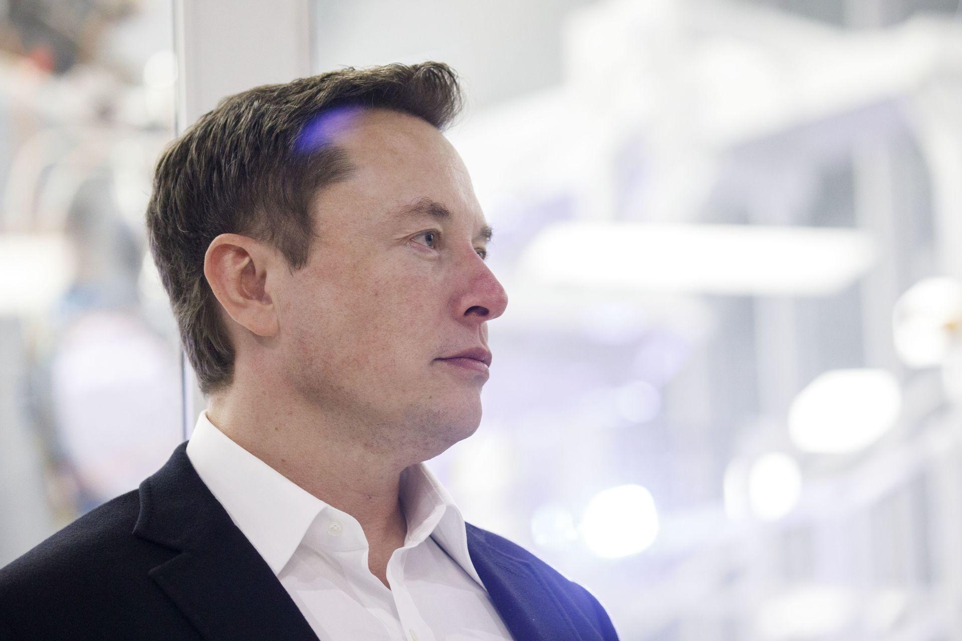 ایلان ماسک در حال نگاه به افق نیم رخ Elon Musk
