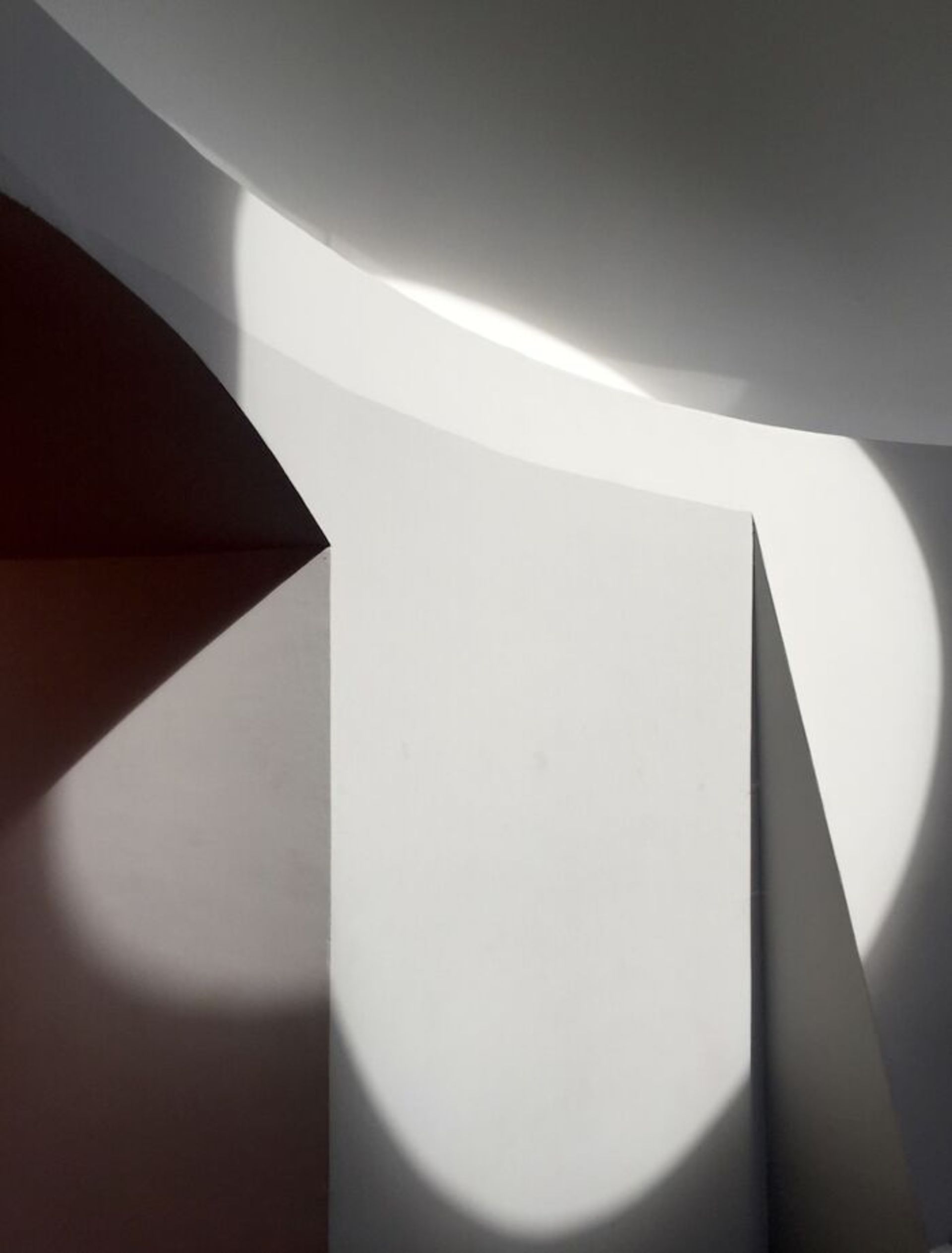 برندگان جوایز عکاسی مجله AAP سال ۲۰۲۲