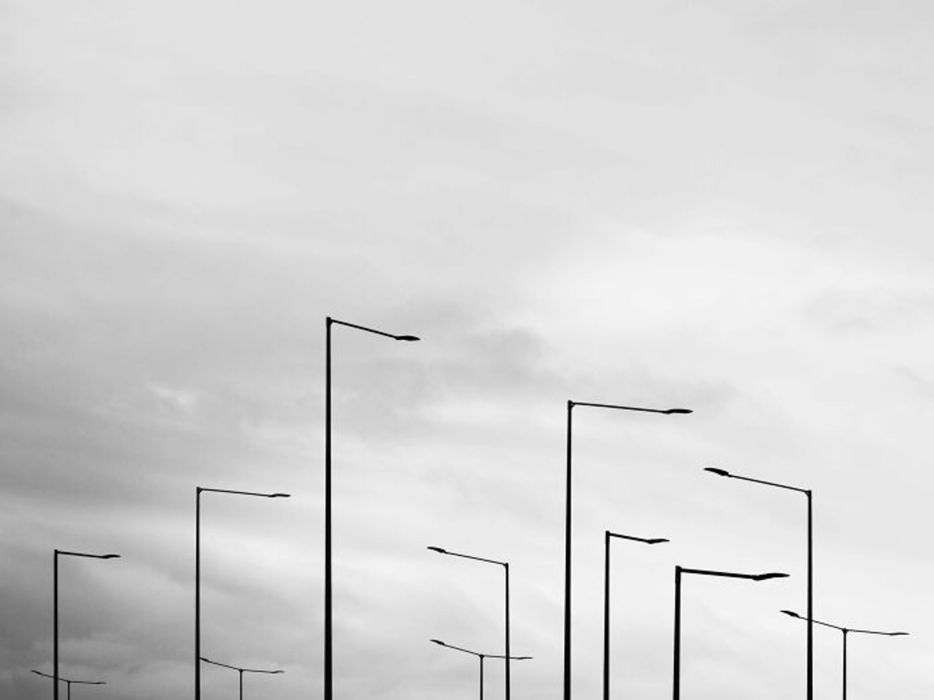 برندگان جوایز عکاسی مجله AAP سال ۲۰۲۲