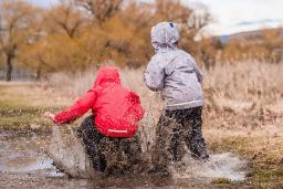 گِل چگونه سیستم ایمنی بدن را تقویت می‌کند