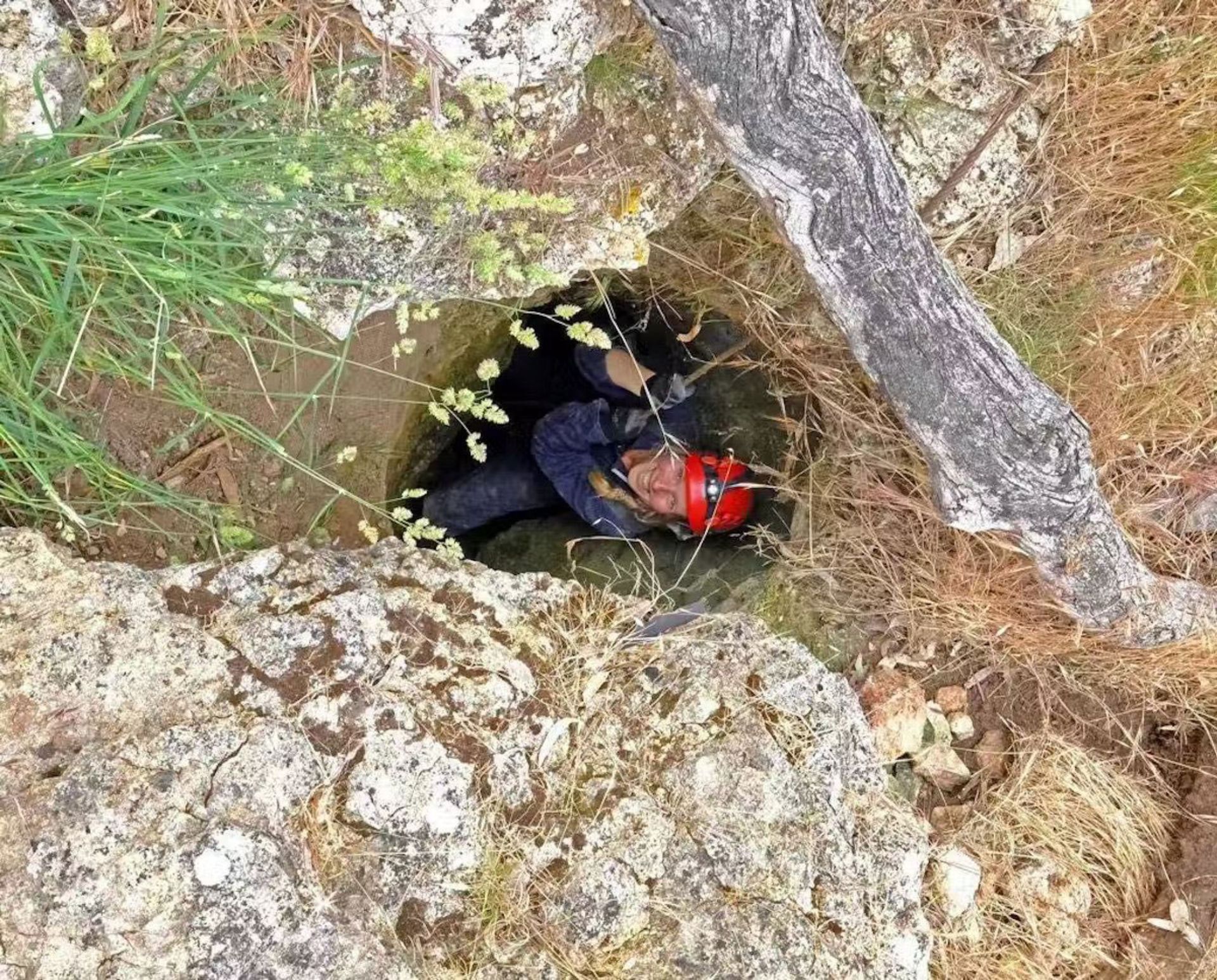 رینک ویج در حال حفاری