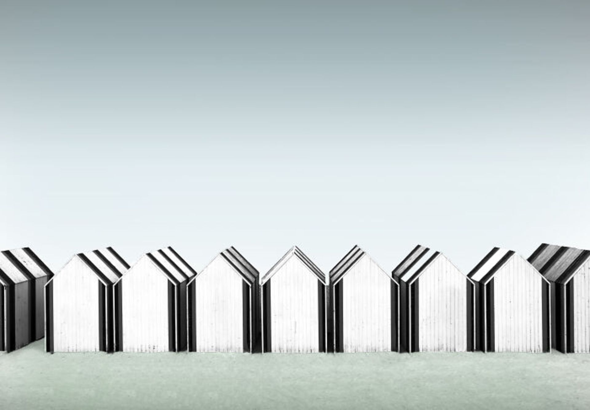 برندگان جوایز عکاسی مجله AAP سال ۲۰۲۲