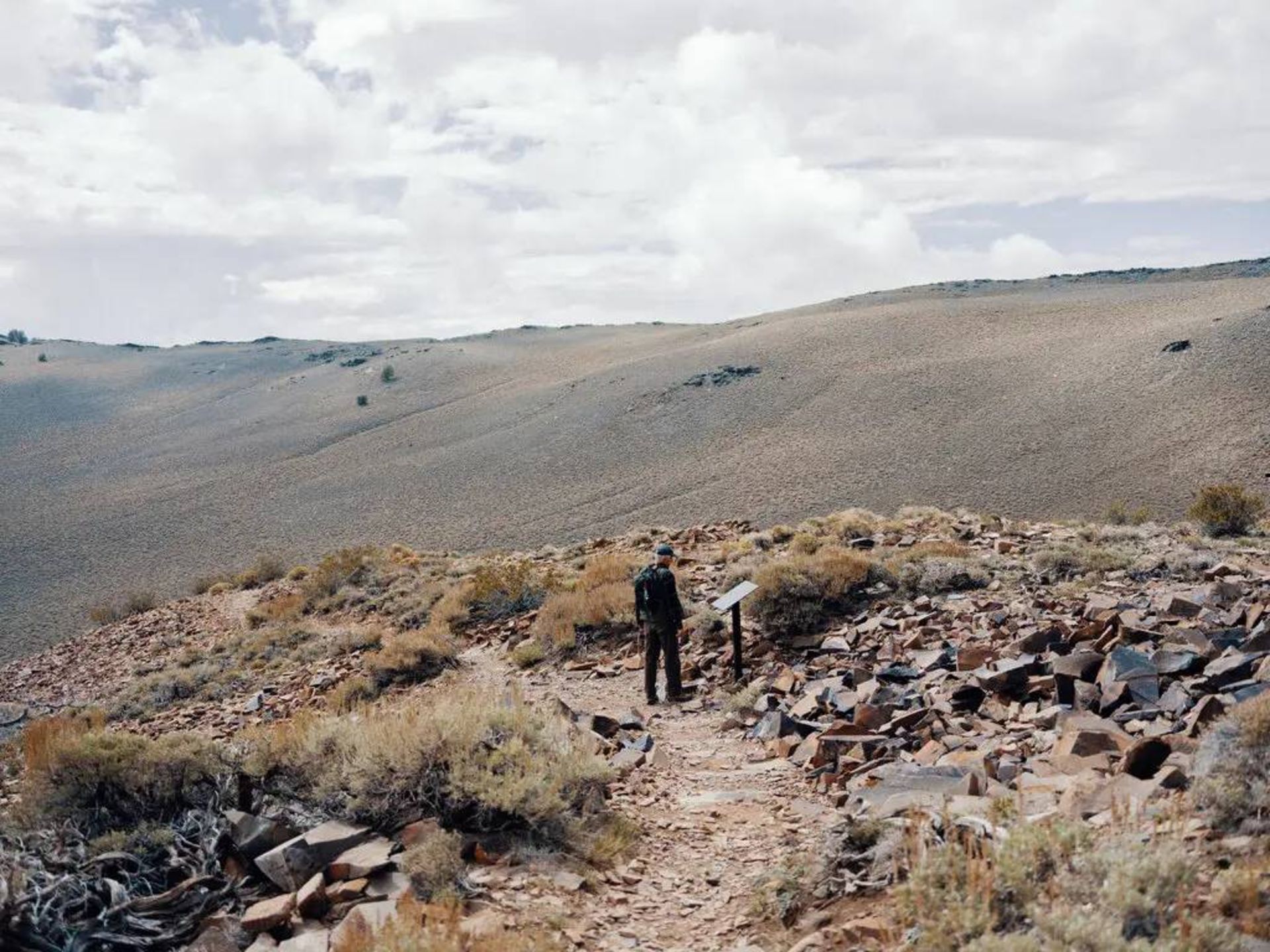جنگل ملی در کالیفرنیا / Inyo National Forest